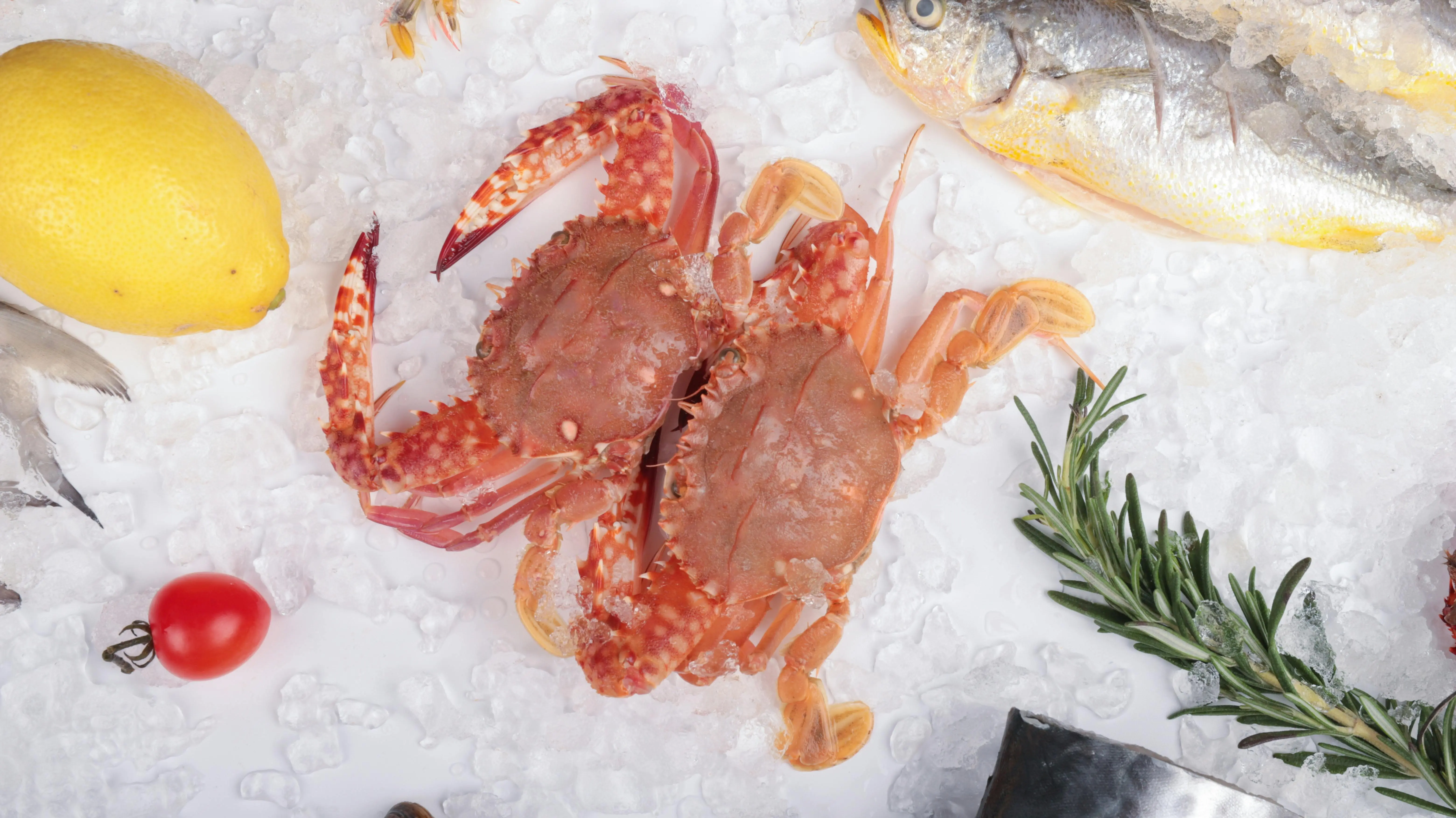 Bukan Cuma Enak, Konsumsi Kepiting Ternyata Bisa Cegah Penyusutan Otot di Usia Tua