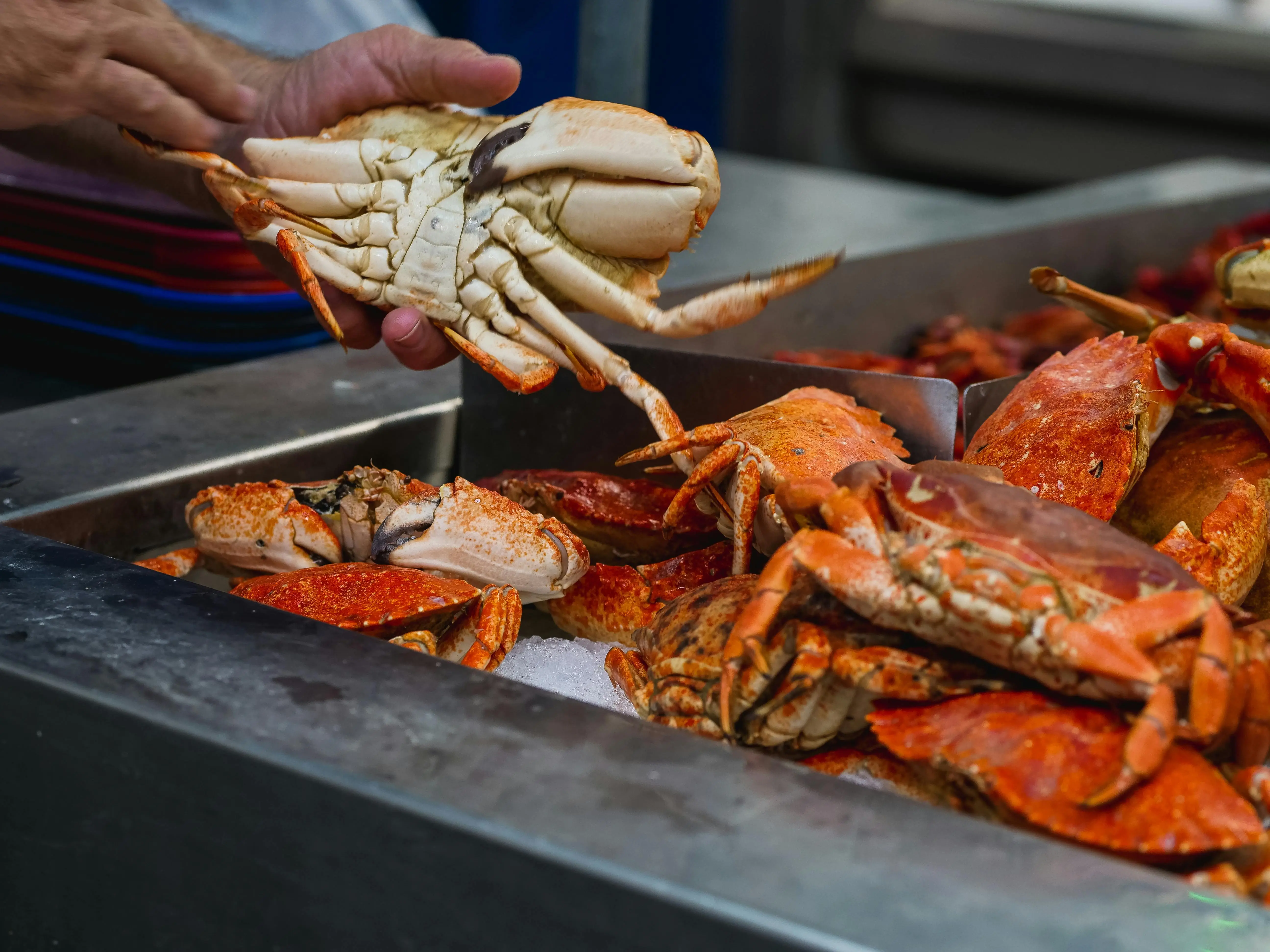 Bukan Sekadar Lezat, Ini Kandungan Nutrisi Kepiting yang Ampuh Bantu Cegah Osteoporosis