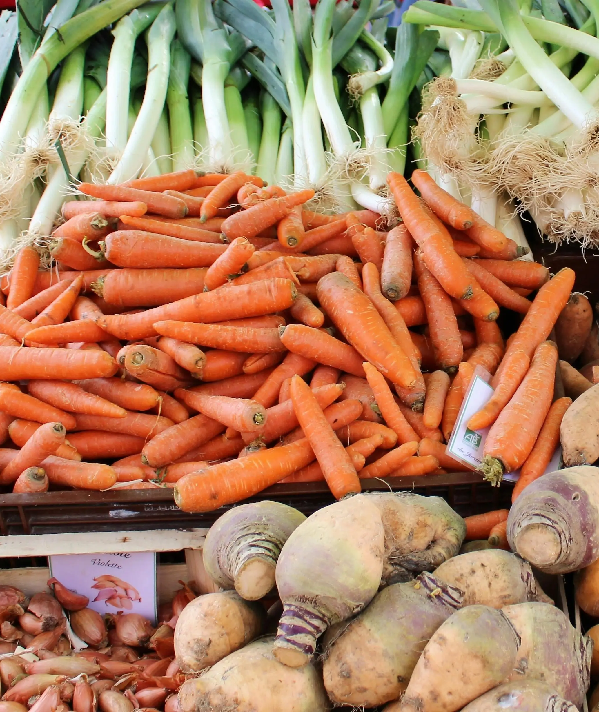 Bukan Sekadar Nutrisi Mata, Ini Rahasia Kandungan Anti Inflamasi dalam Wortel Menurut Sains