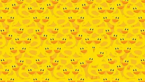 Tes IQ Ilusi Optik: Kamu Keren, Jika Mampu Temukan Ayam yang Tersembunyi di Antara Bebek dalam 5 Detik!