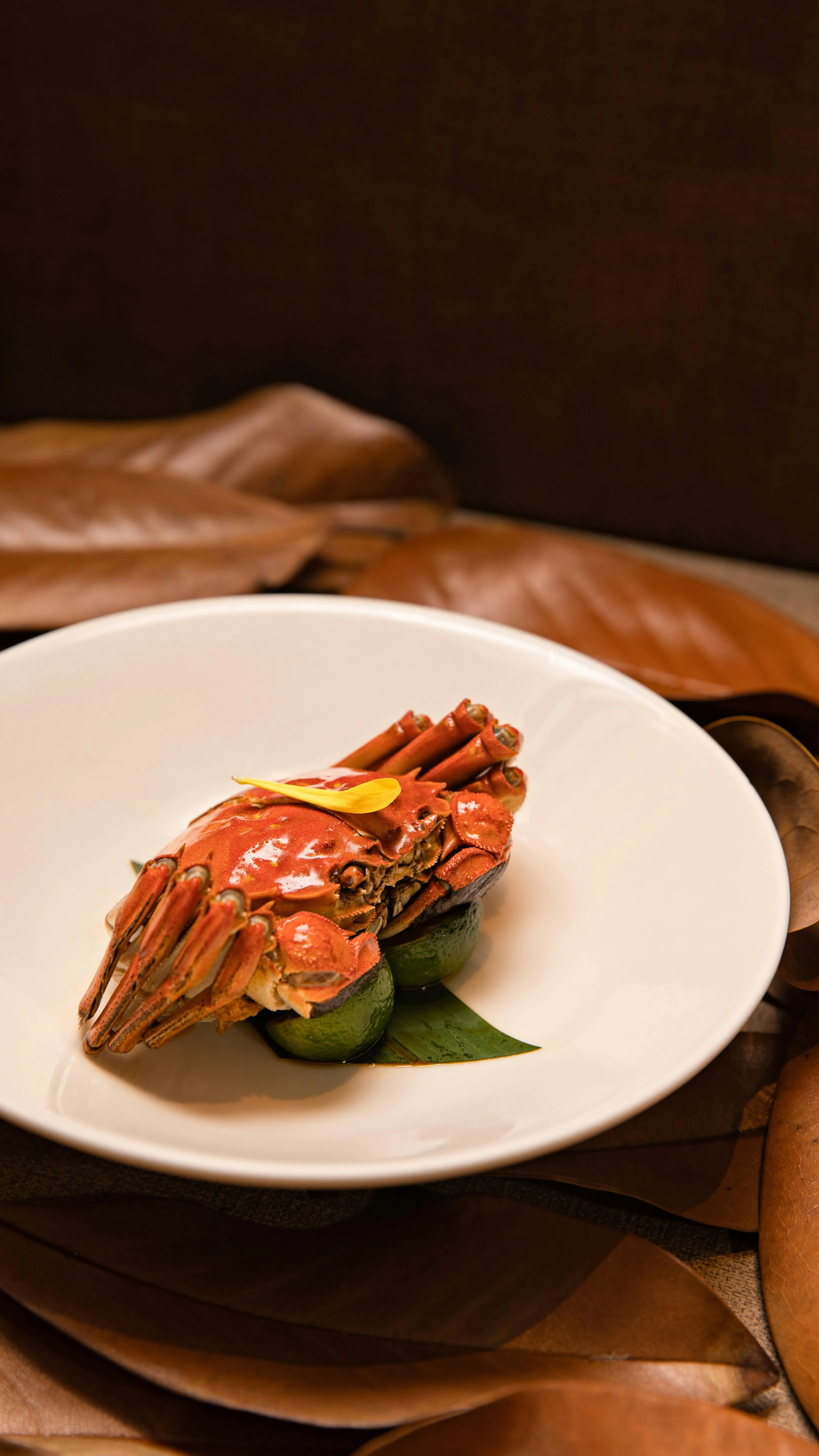 Kaya Zinc dan Selenium, Ini Sederet Manfaat Kepiting untuk Perkuat Imun Tubuh