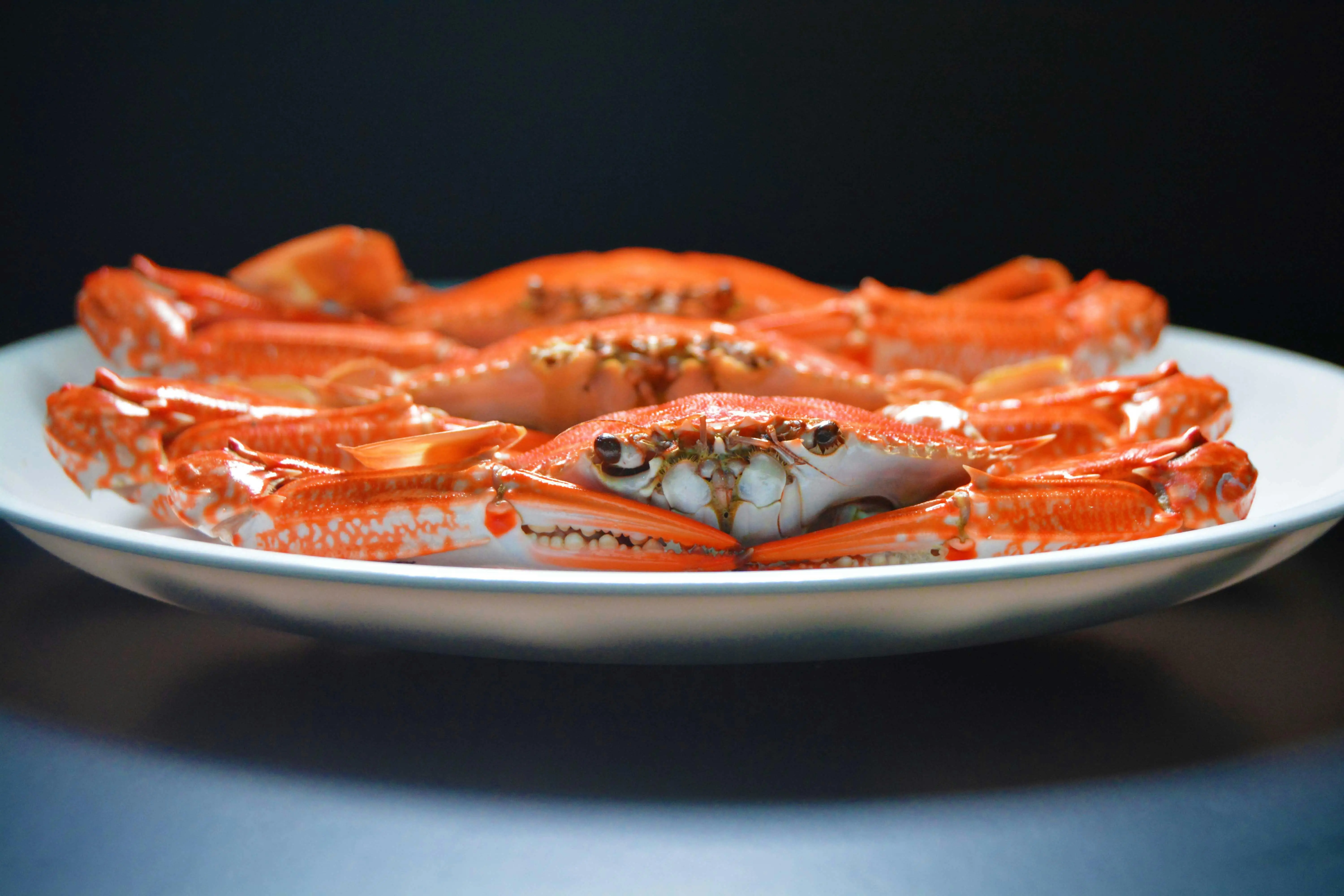 Nutrisi Penting dalam Kepiting yang Jarang Diketahui untuk Membantu Mencegah Pikun