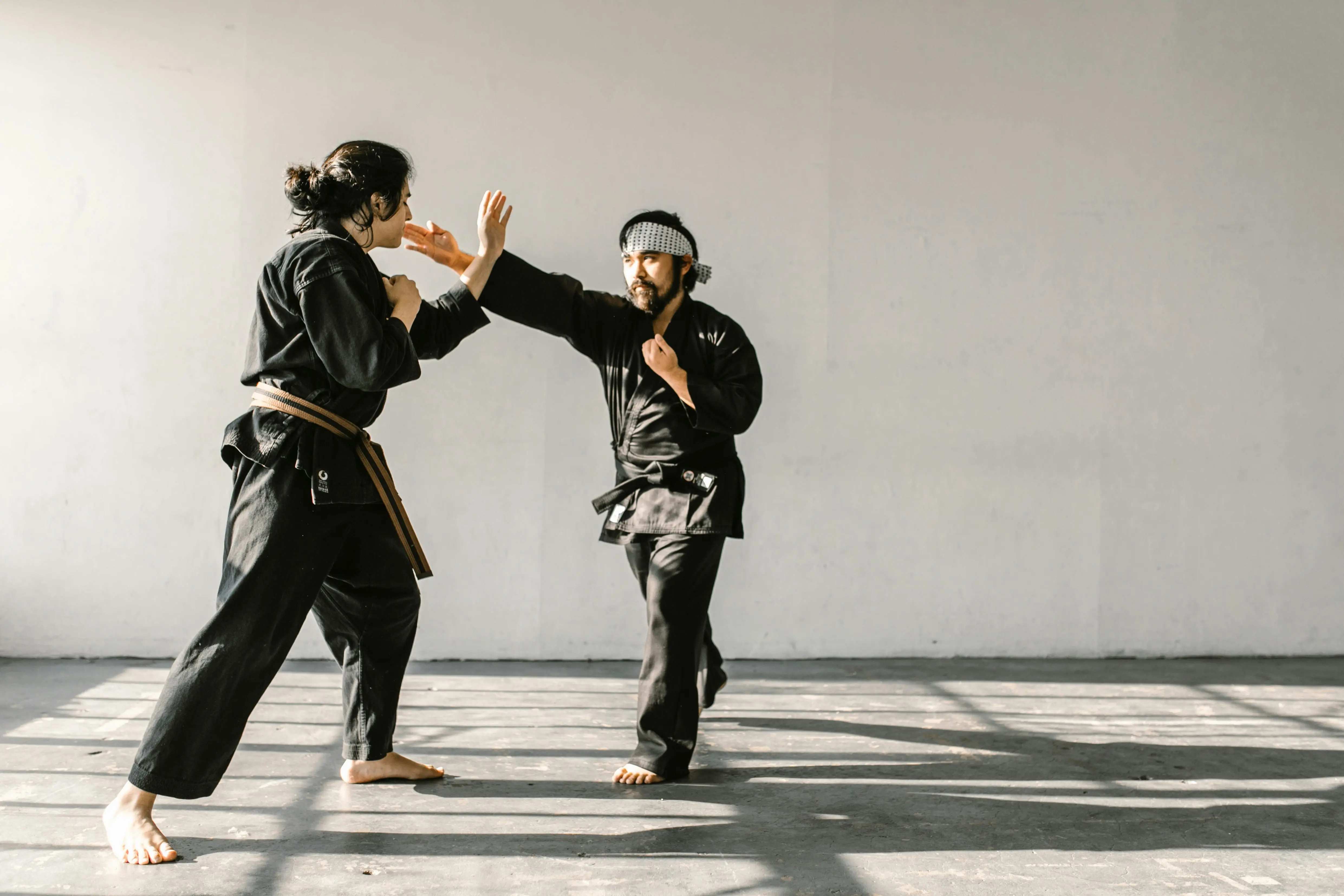 Seni Melawan Tanpa Kekerasan: Mengupas Teknik Defensif Hapkido ala Korea
