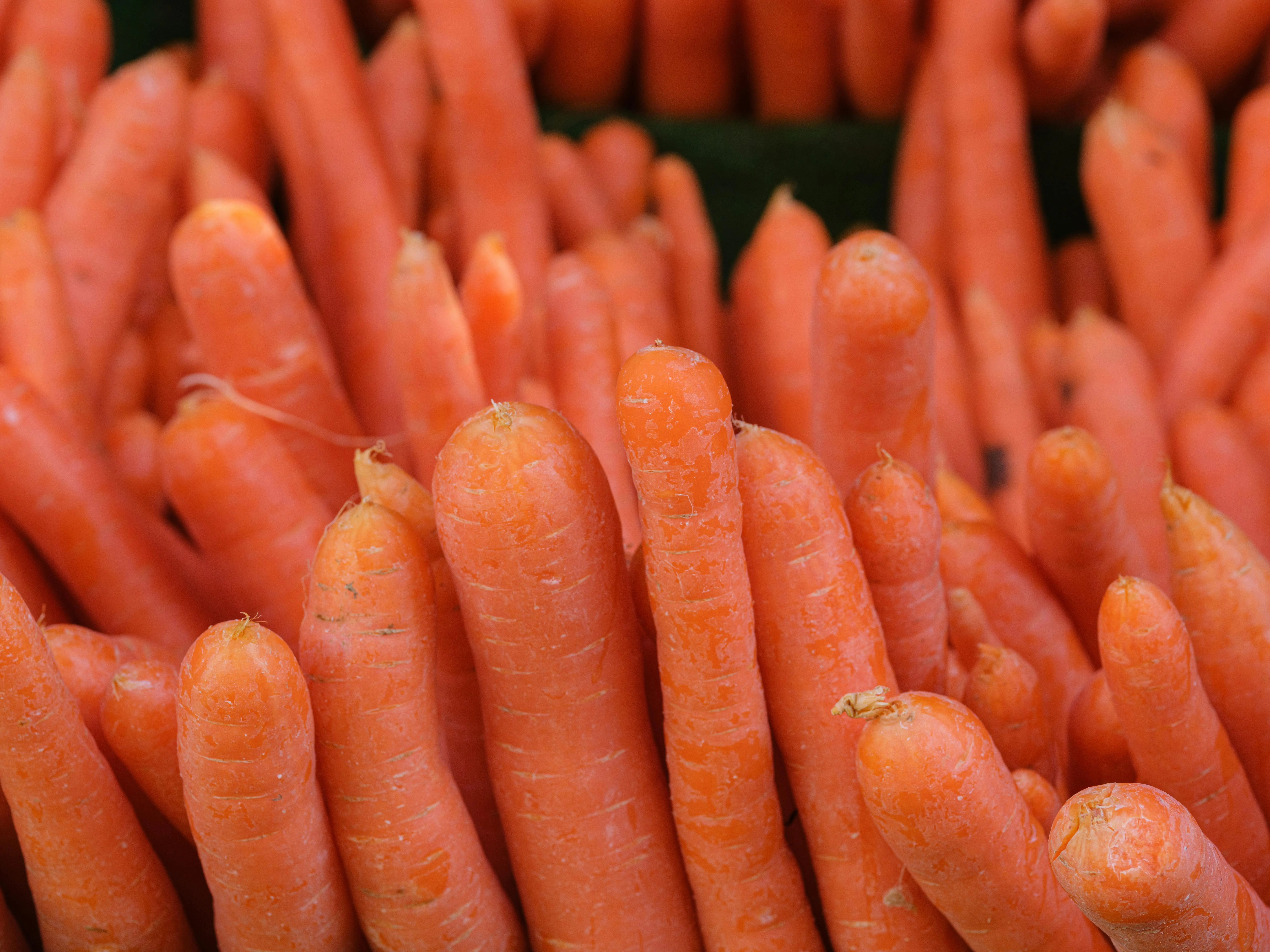 Bukan Cuma Buat Mata, Ini Alasan Wortel Jadi Sumber Vitamin K Terbaik bagi Tubuh