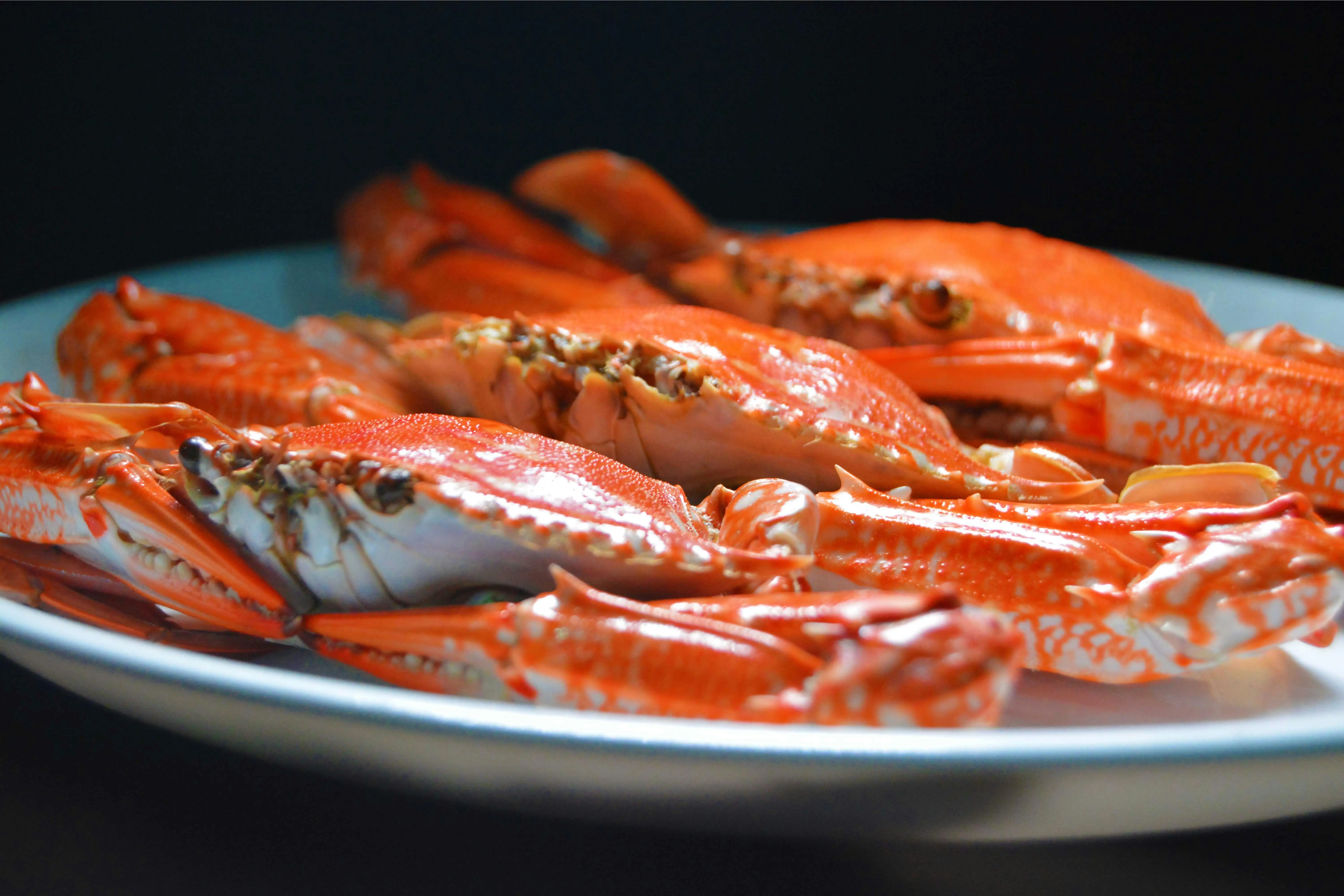 Bukan Sekadar Lezat, Daging Kepiting Ternyata Makanan Laut Bergizi Tinggi. Ini Penjelasanya
