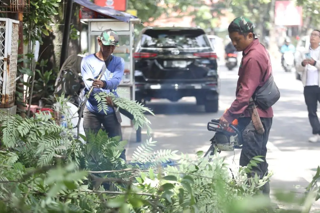 Gercep! Pemkot Bandung Pangkas Ranting Pohon Tutupi PJU di Jalan Lodaya