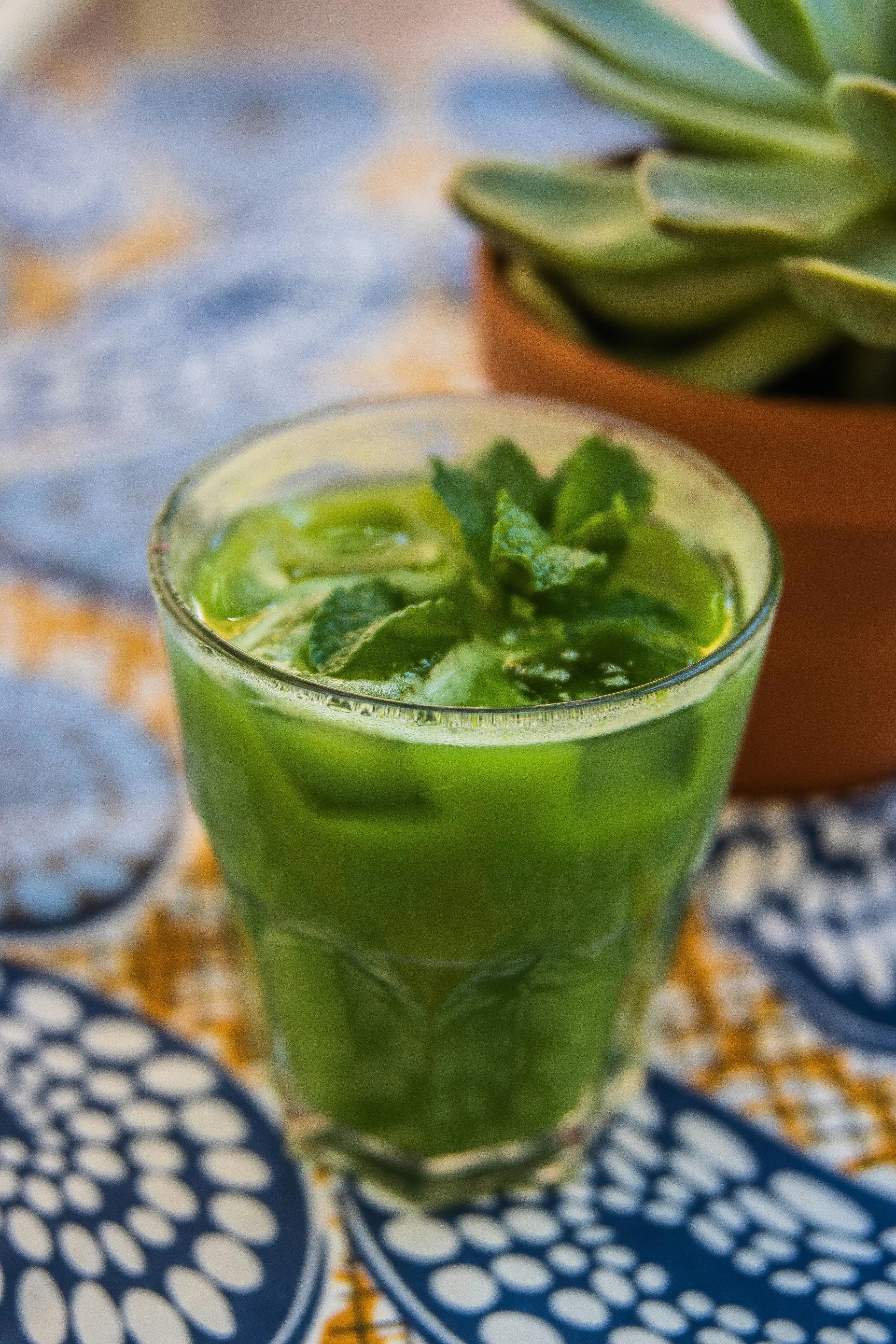 Lebih dari Sekadar Minuman Hangat: Teh Hijau, Perisai Alami Tubuh Melawan Kerusakan Sel