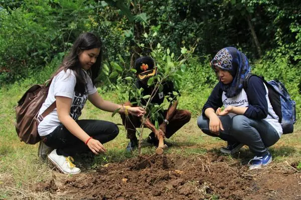 Cara Sederhana Masyarakat Ikut Melestarikan Hutan dan Kurangi Risiko Bencana