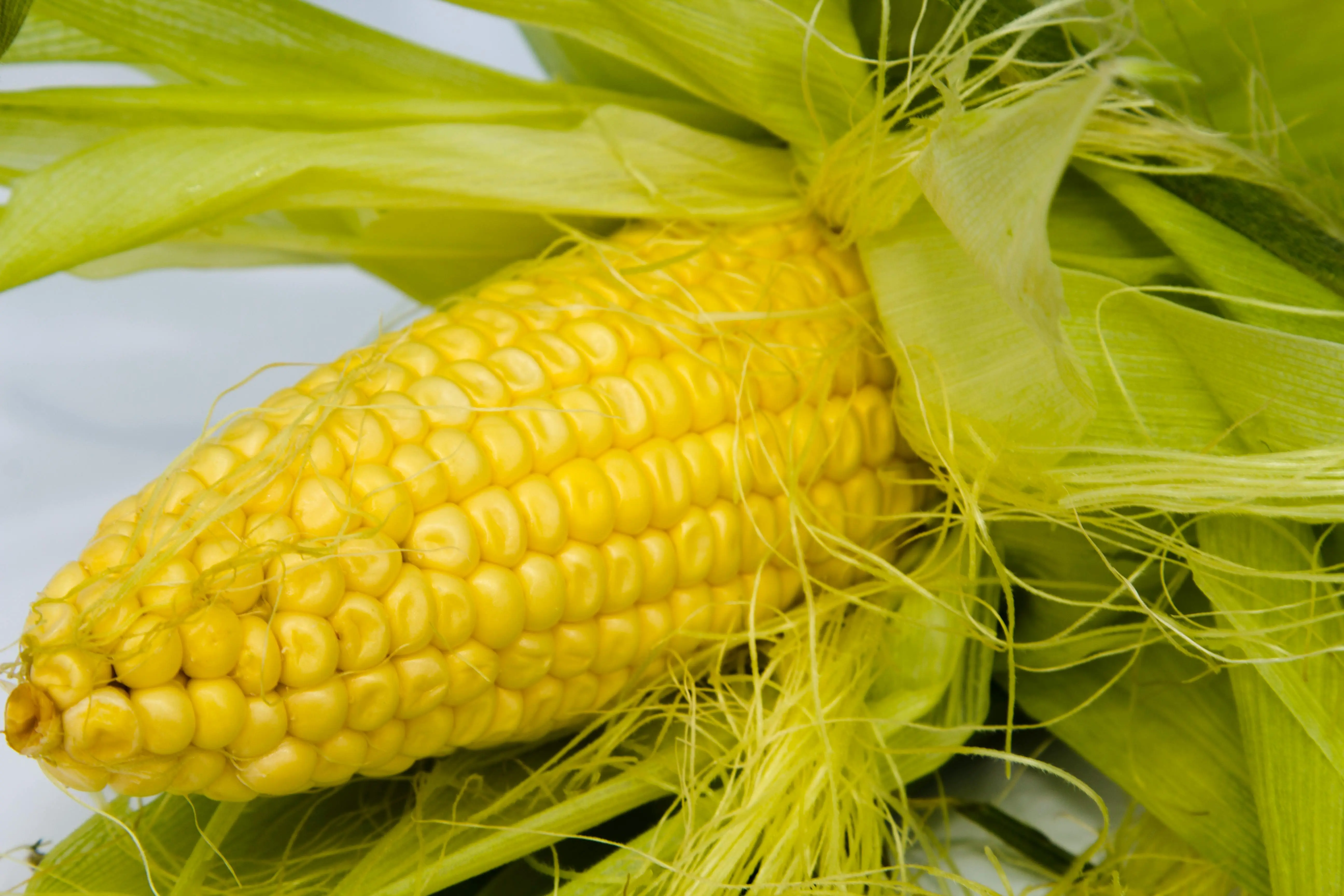 Kupas Tuntas! Kontribusi Multidimensi Jagung dalam Ekonomi Global dan Inovasi Industri