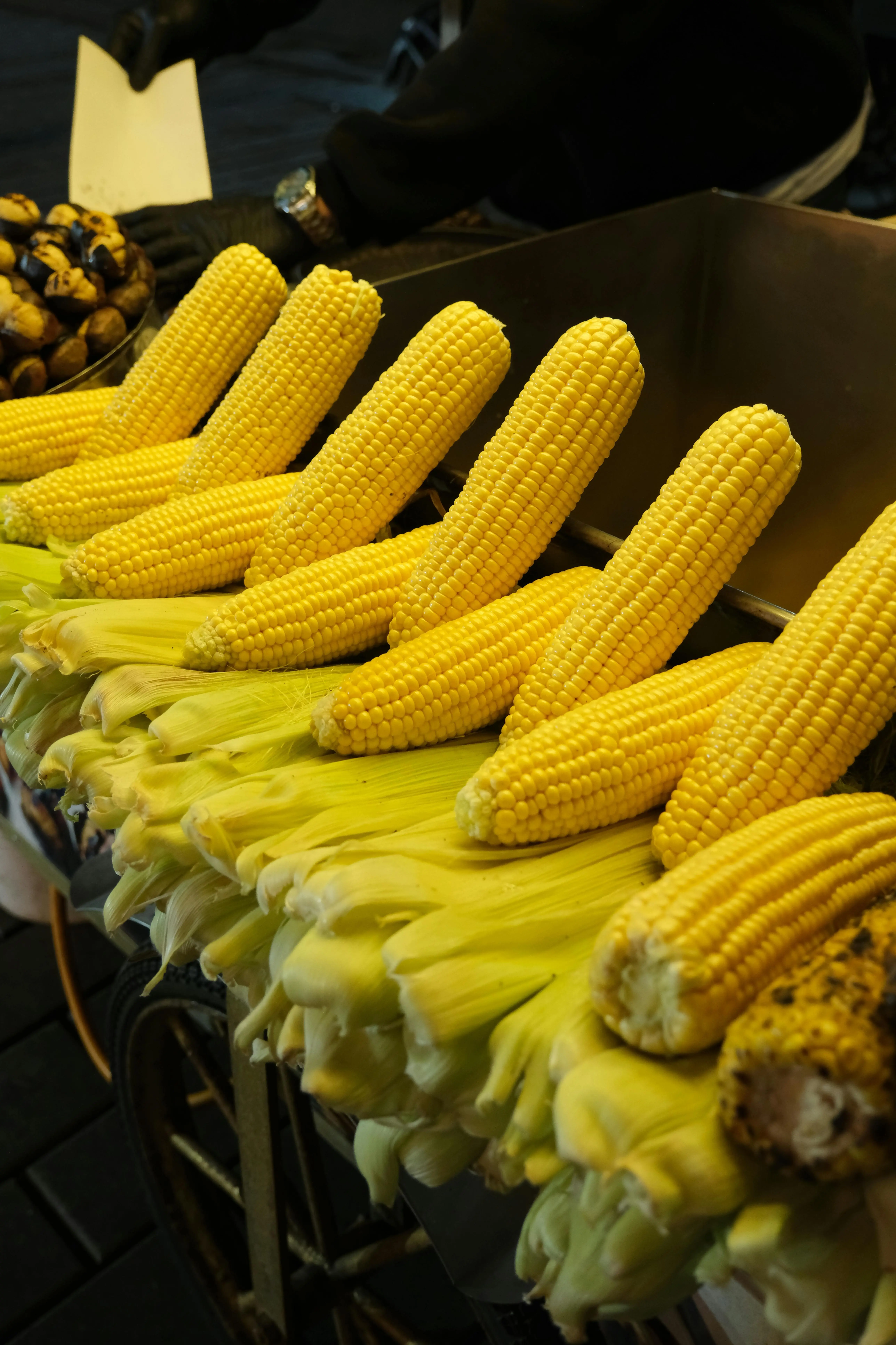 Lebih dari Sekadar Karbohidrat: Mengupas Tuntas Nutrisi dan Manfaat Kesehatan Jagung