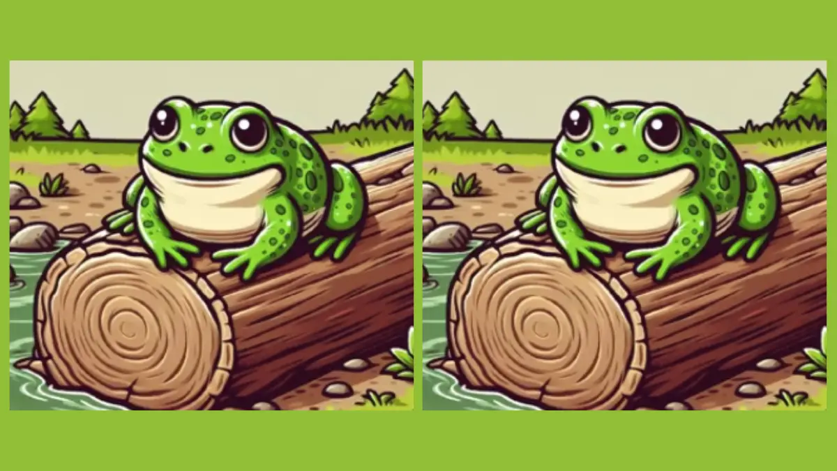 Asah Otak Tebak Gambar: Ada Katak Lagi Nongkrong di Atas Batang Kayu! Bisakah Temukan 3 Perbedaannya