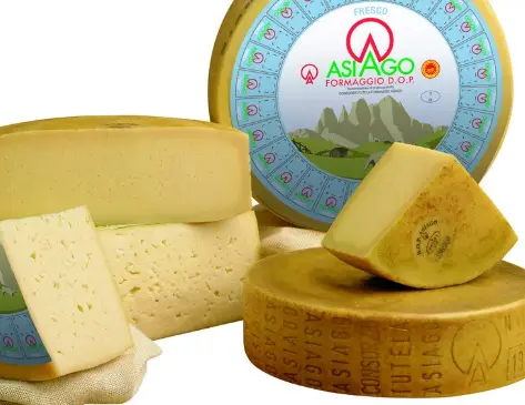 Bukan Sekadar Parmesan: Mengapa Keju Asiago Adalah Bintang Tersembunyi di Dapur Anda