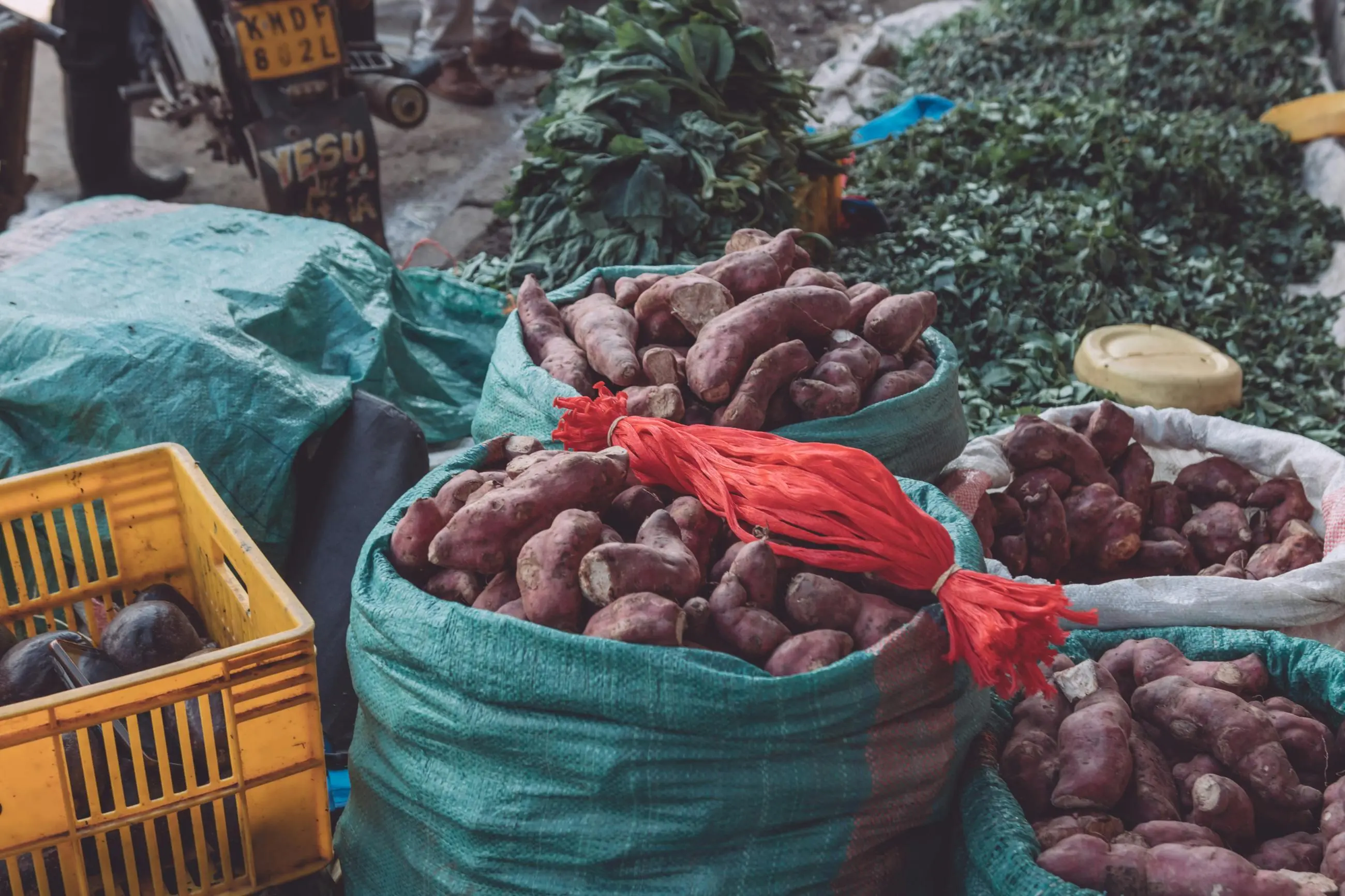 Hati-Hati! Ini Efek Samping Tersembunyi dari Konsumsi Ubi Berlebihan