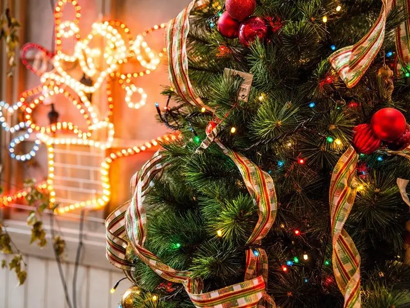 Tips Menata Pohon Natal: Dari Lampu hingga Ornamen agar Hasilnya Tidak Berantakan