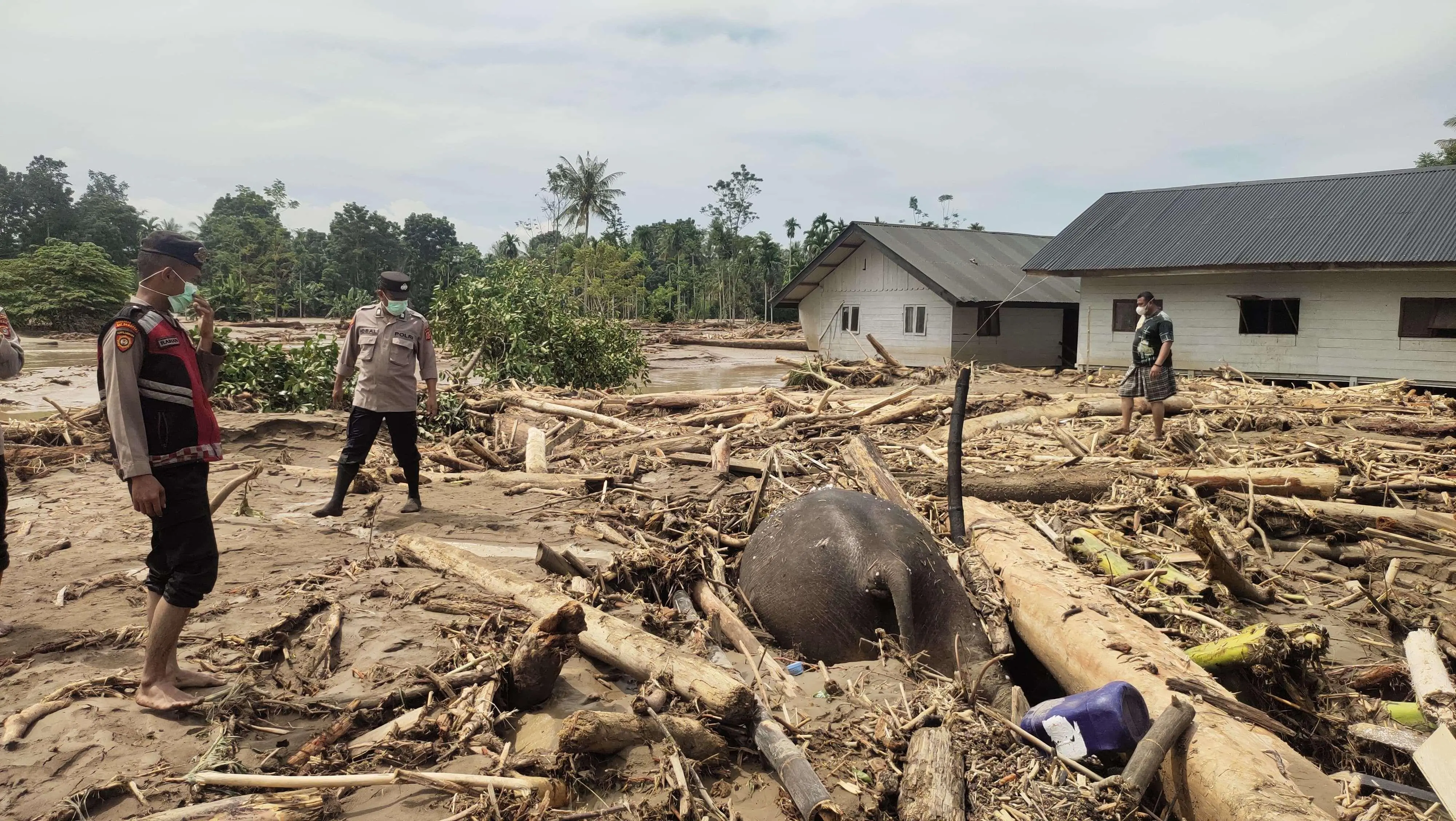 Link Resmi Pantau Bencana Aceh 2025, Cek Update Banjir dan Longsor di Sini