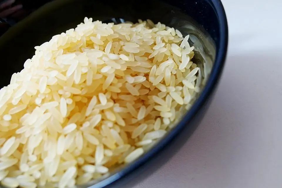 Tradisi Menyajikan Nasi Sebagai Simbol Kehormatan di Jepang
