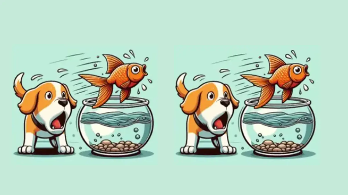 Teka-teki Asah Otak: Pada Gambar Ini Ada Ikan, Anjing dan Akuarium, Bisakah Kamu Temukan 3 Perbedaannya