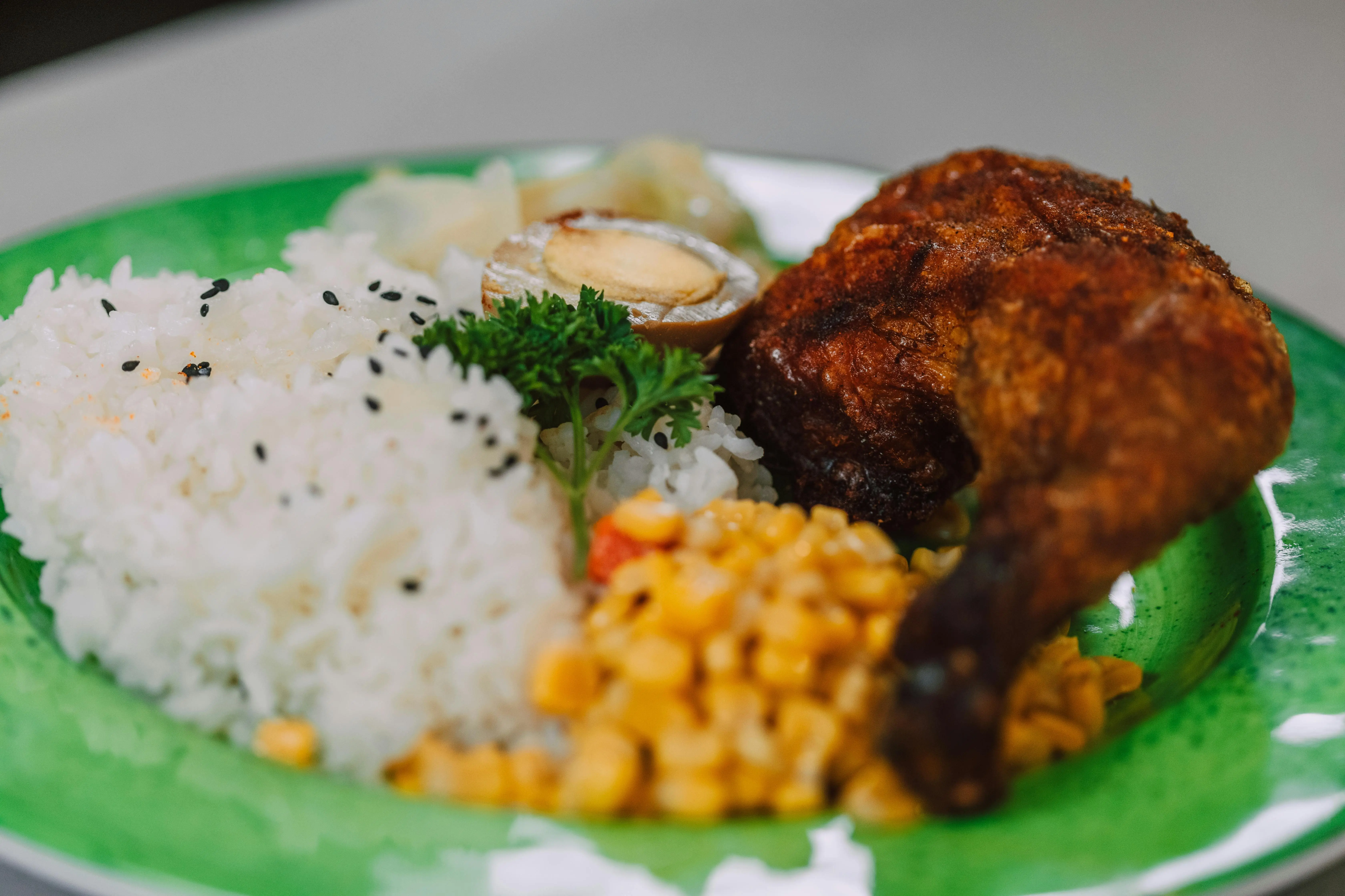 Duet Emas Gizi: Mengapa Nasi dan Protein Wajib Ada dalam Piring Sehat Anda