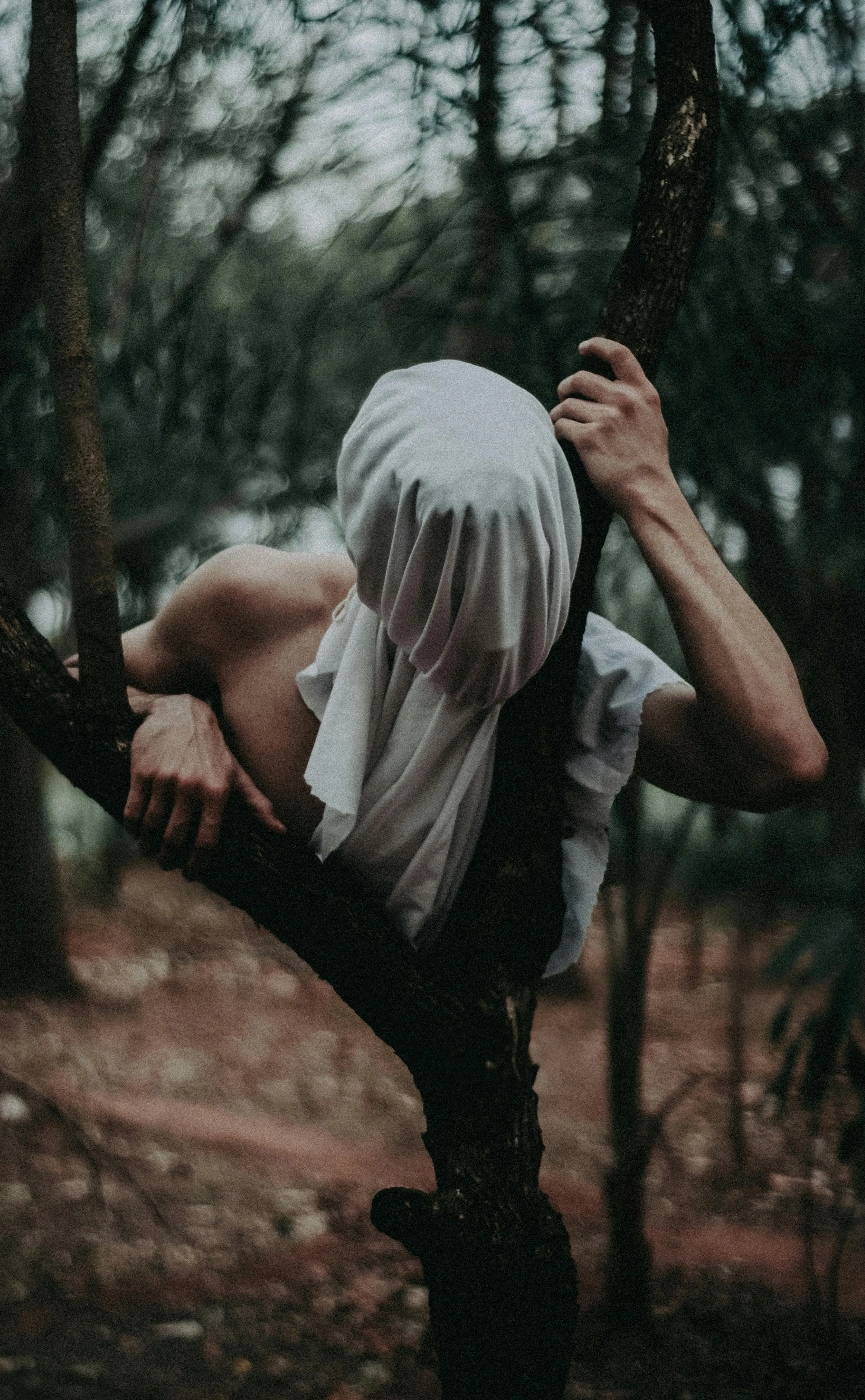 Hantu dan Fotografi Abad ke-19: Asal-usul Spirit Photography