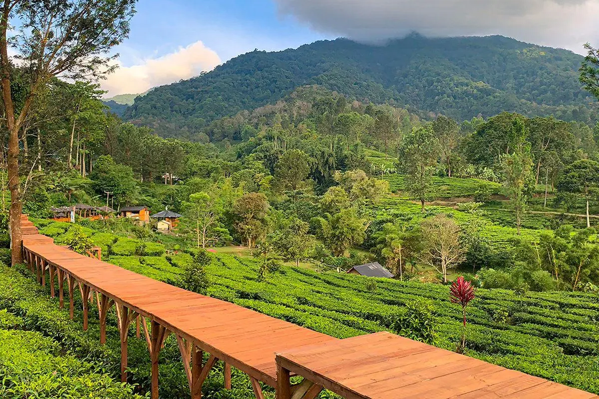 Destinasi Wisata Jawa Barat yang Wajib Dikunjungi Saat Liburan Nataru 2025