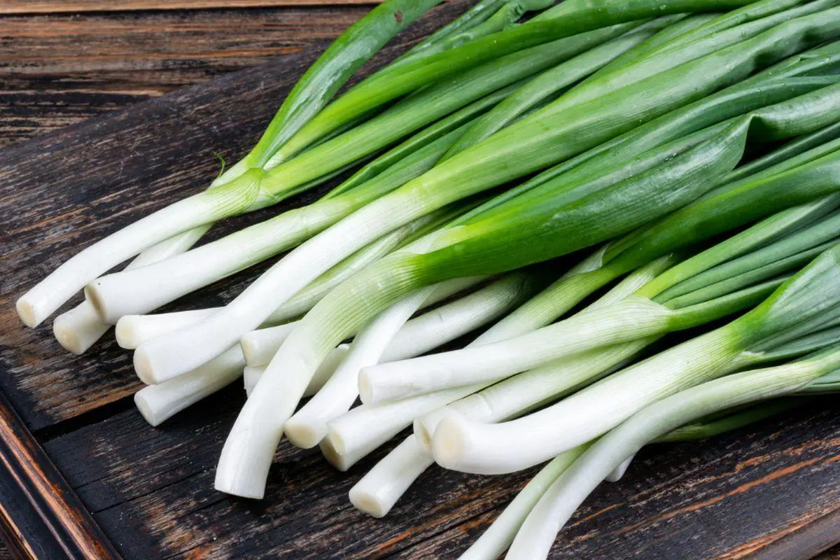 5 Cara Menyimpan Daun Bawang agar Tetap Segar Berhari-hari, Anti Layu dan Anti Busuk!