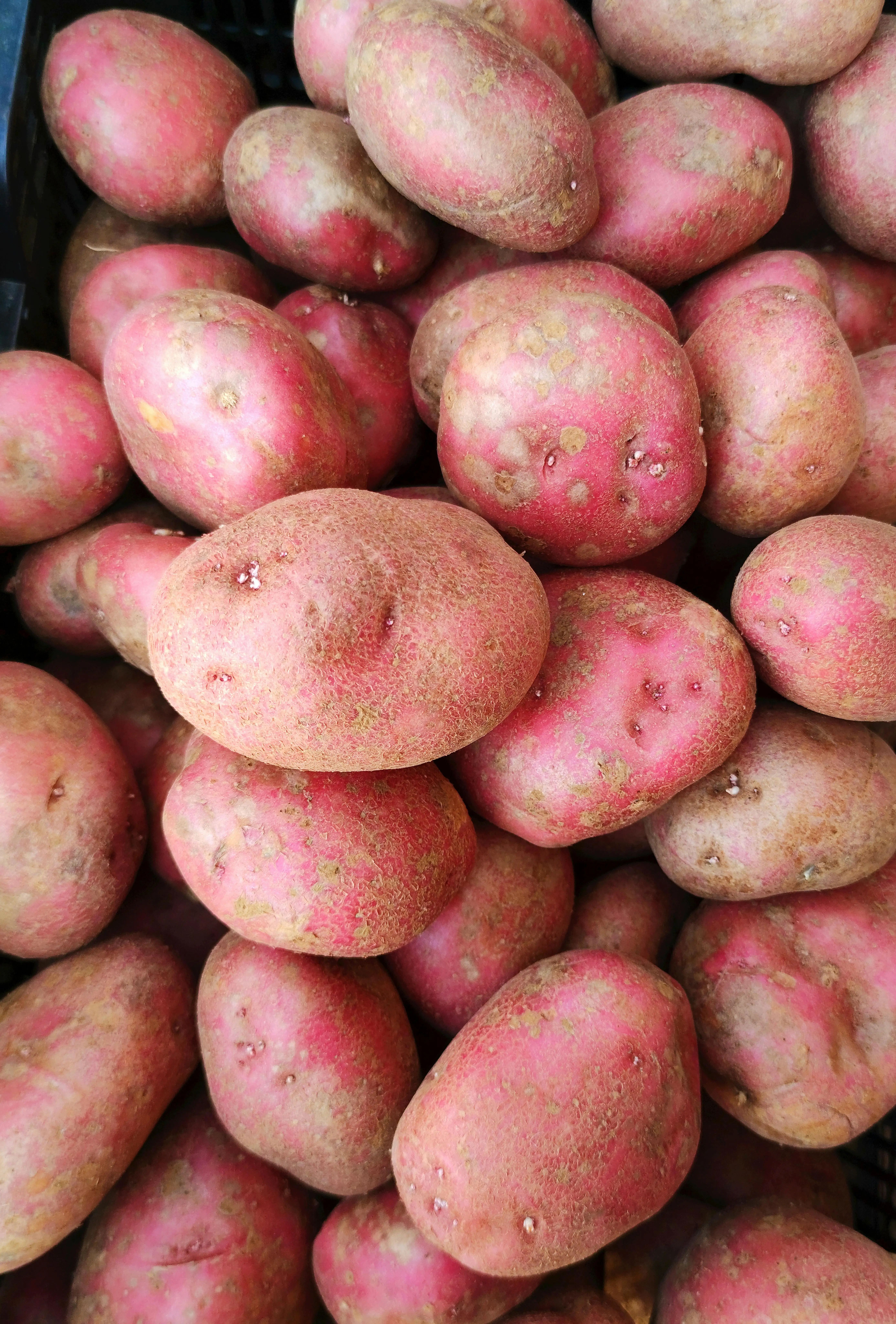 Cara Terbaik Memasak Ubi Jalar: Kunci untuk Jaga Kekuatan Vitamin