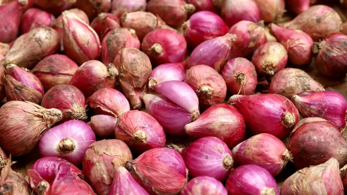 Harga Bawang Merah Melonjak di 196 Kabupaten/Kota, BPS Beberkan Penyebabnya