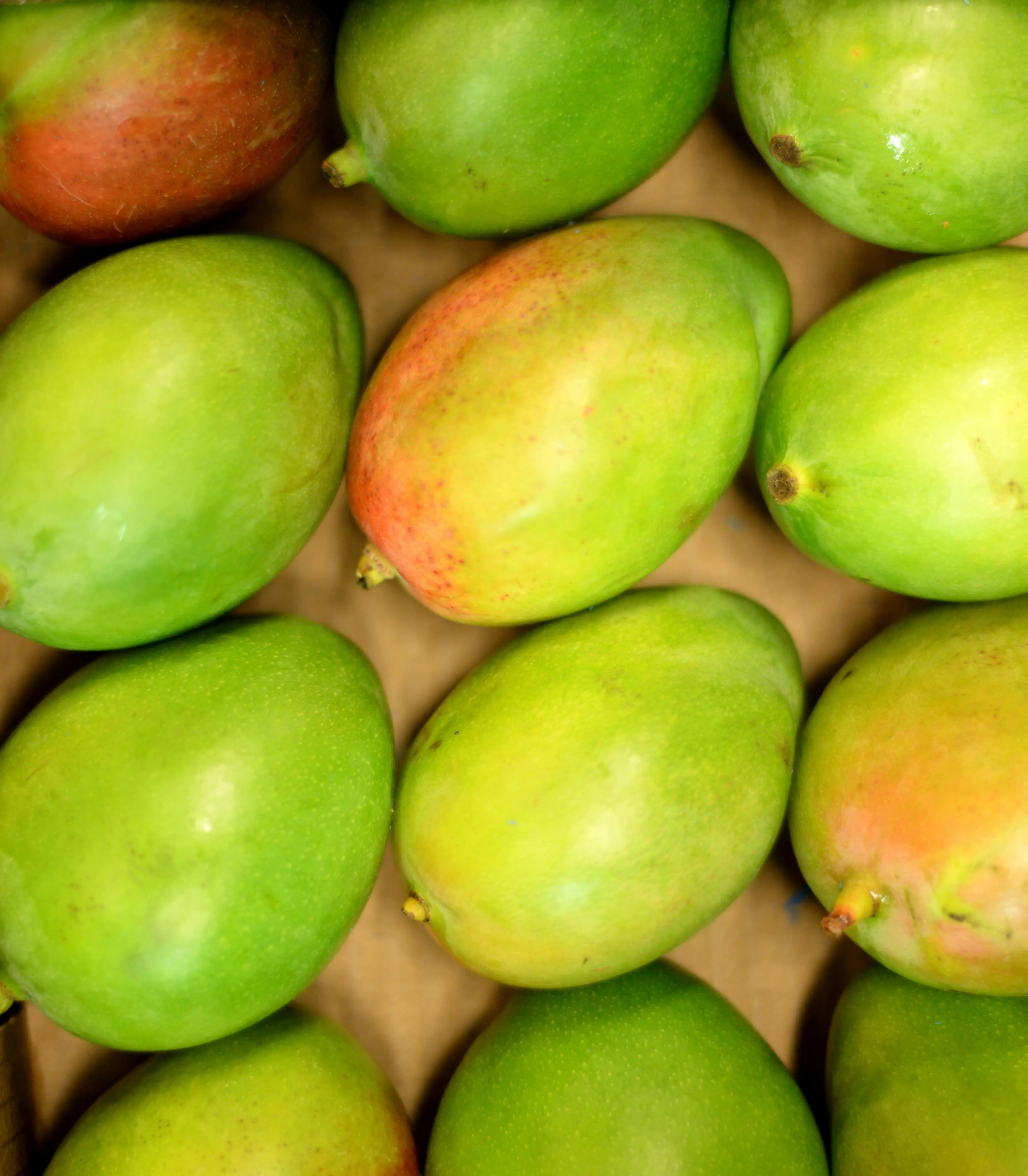 Stop Buang Kulit dan Biji Mangga! Ini Manfaat Ajaibnya dalam Dunia Herbal