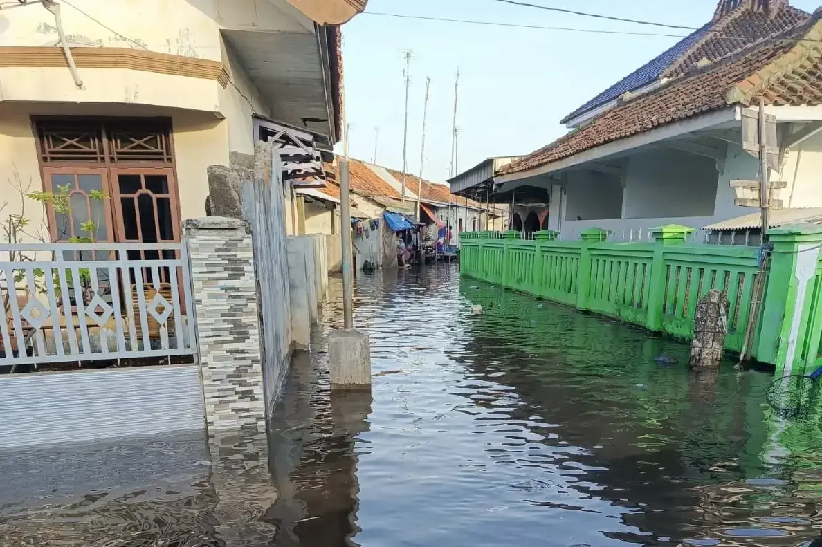 Ciri-Ciri Banjir Rob yang Perlu Diketahui Warga Pesisir agar Bisa Siap Menghadapi Genangan