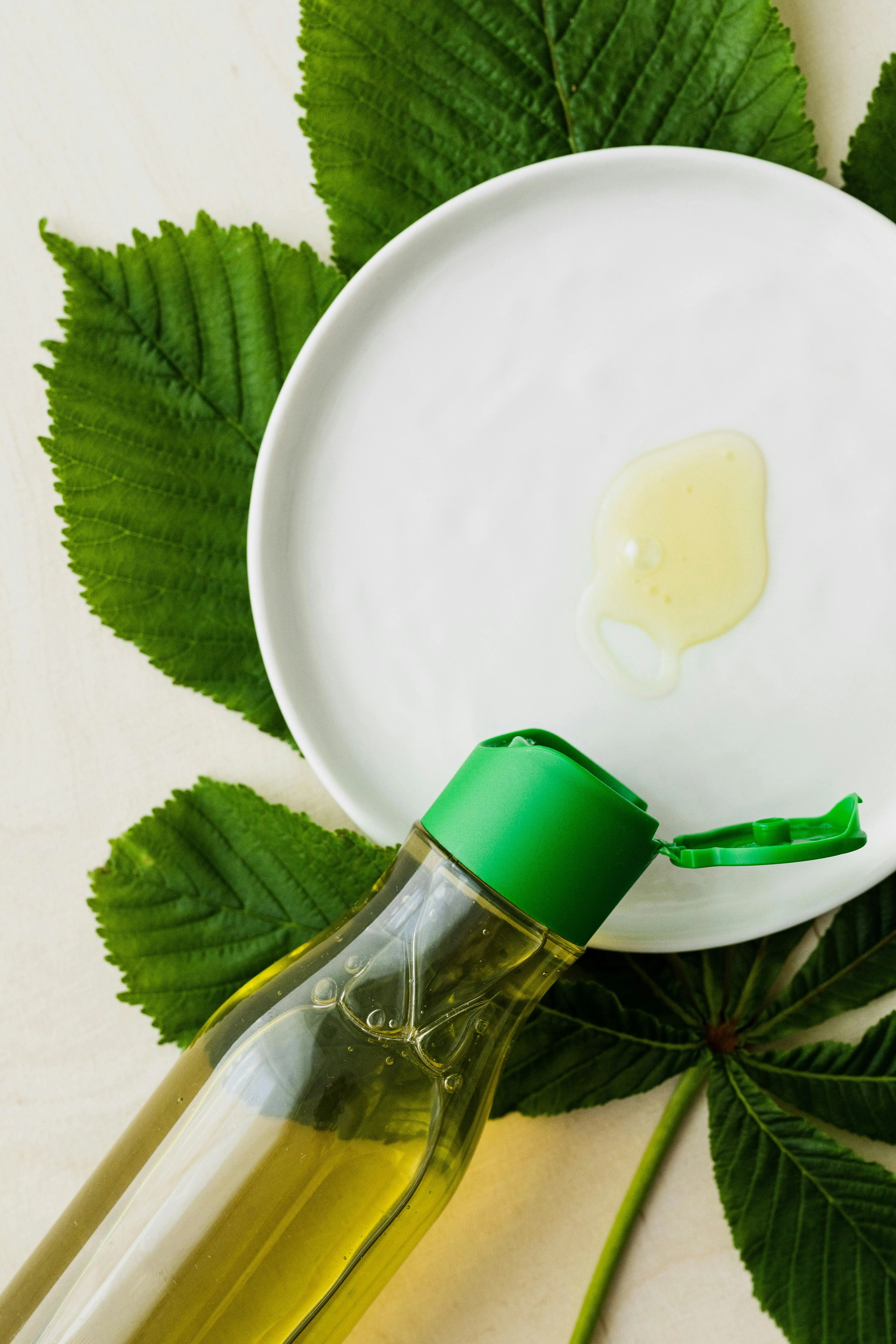 Rahasia Abadi Ayurveda: Mengapa Minyak Kelapa Adalah Bintang Utama Pengobatan India