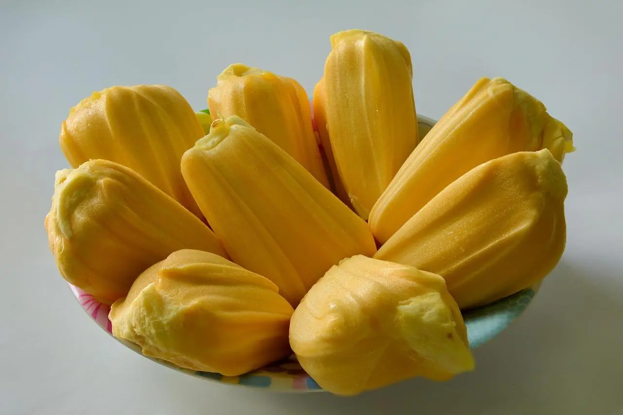Doping Alami dari Tropis: Mengupas Manfaat Nangka untuk Daya Tahan Atlet