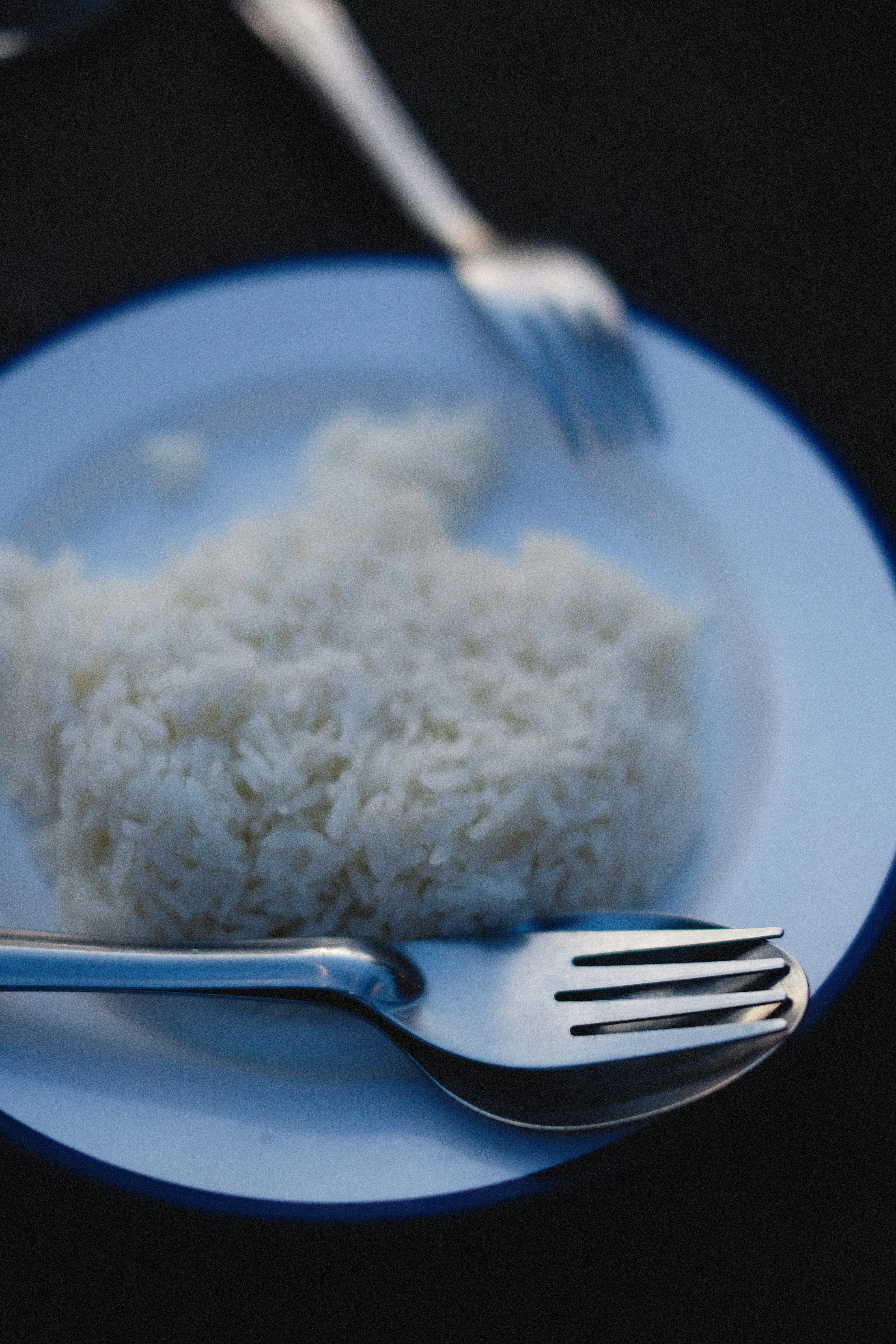 Solusi Cerdas Dapur: Inilah Ide Kreatif Mengolah Sisa Nasi