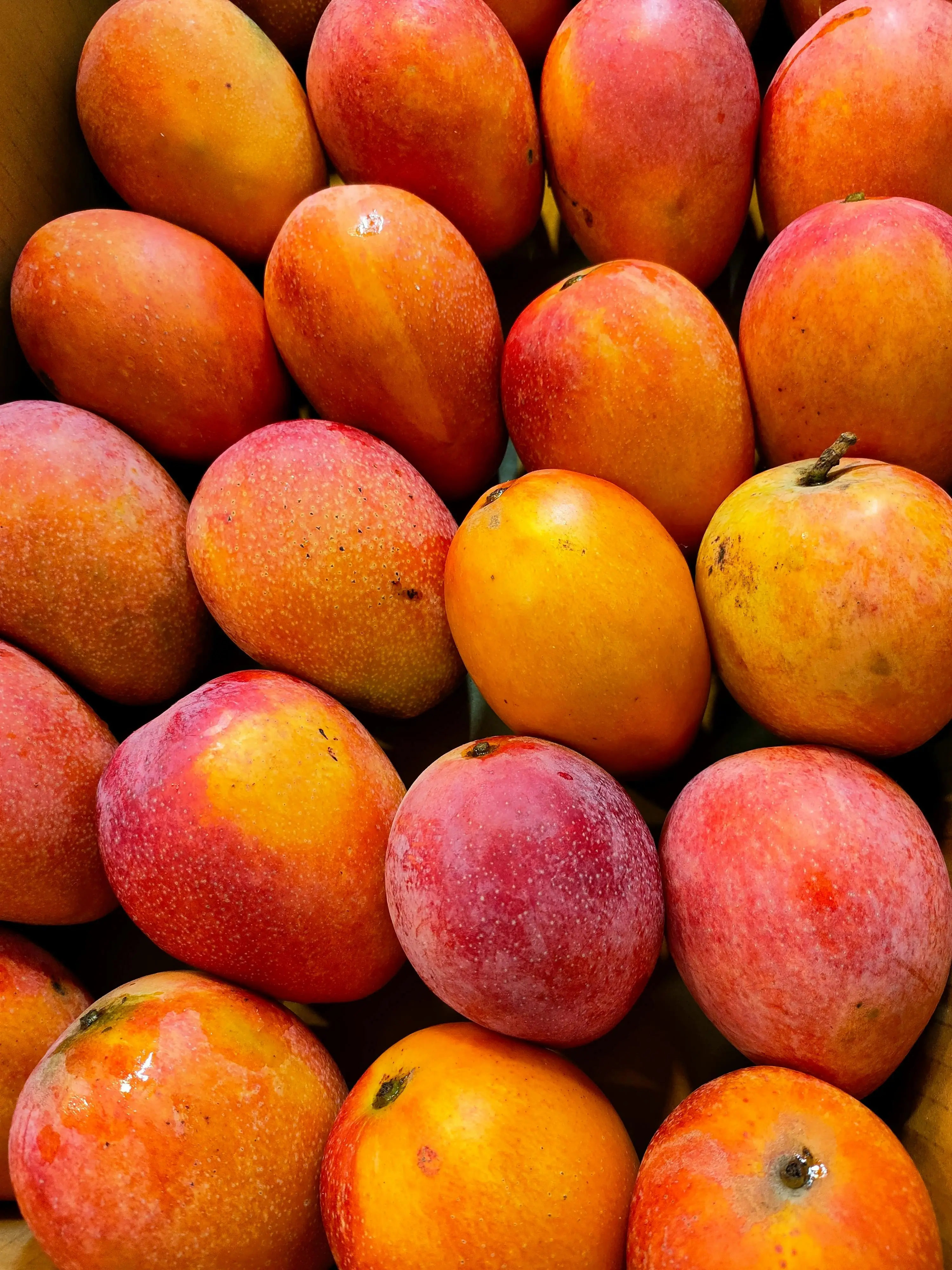 Kupas Tuntas! Kenapa Mangga Wajib Ada dalam Rencana Makan Rendah Lemak Anda