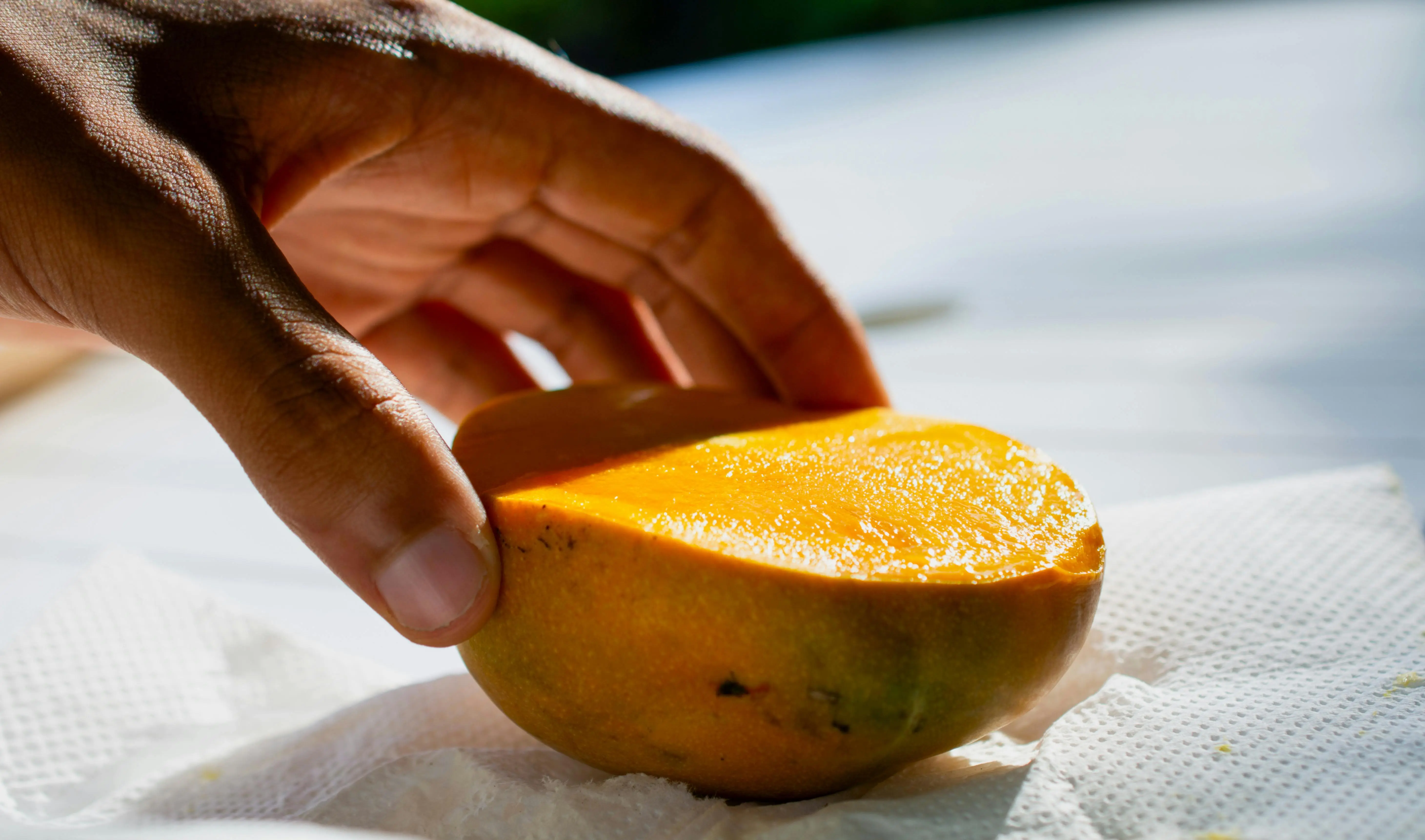 Kupas Tuntas! Bagaimana Mangga Tropis Mendukung Kepadatan Tulang Anda