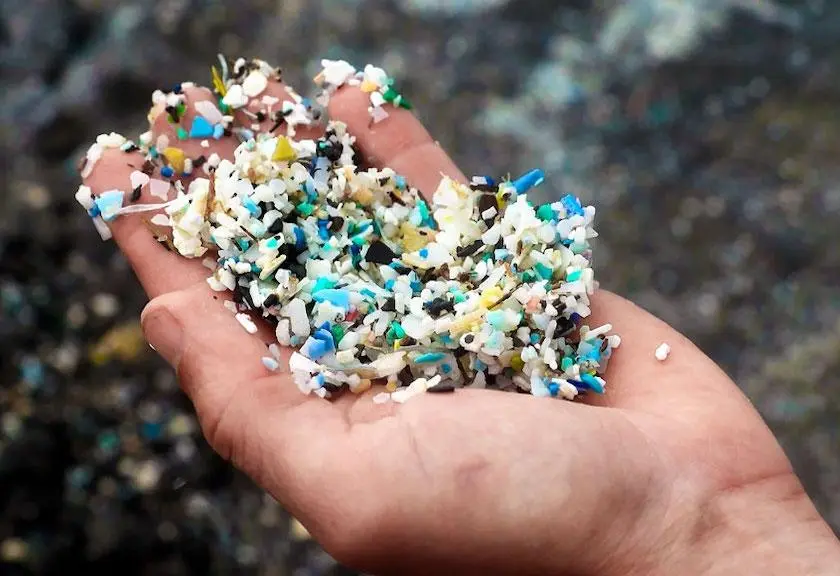 Mikroplastik Terdeteksi di Air Hujan, Ini Dampaknya bagi Kesehatan Tubuh