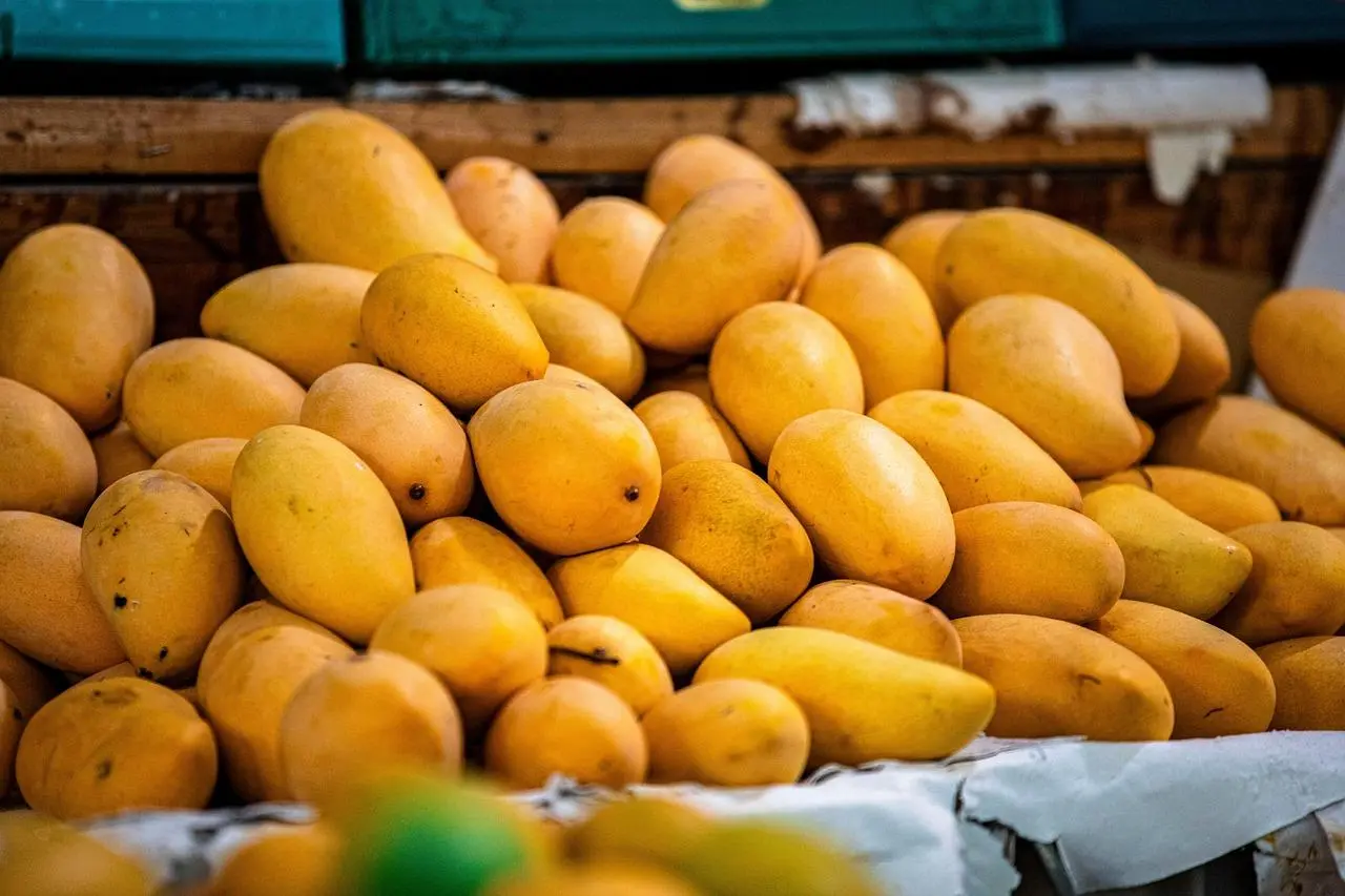 Mengupas Rahasia Ilmiah: Potensi Fitokimia Kulit Mangga yang Tak Terduga