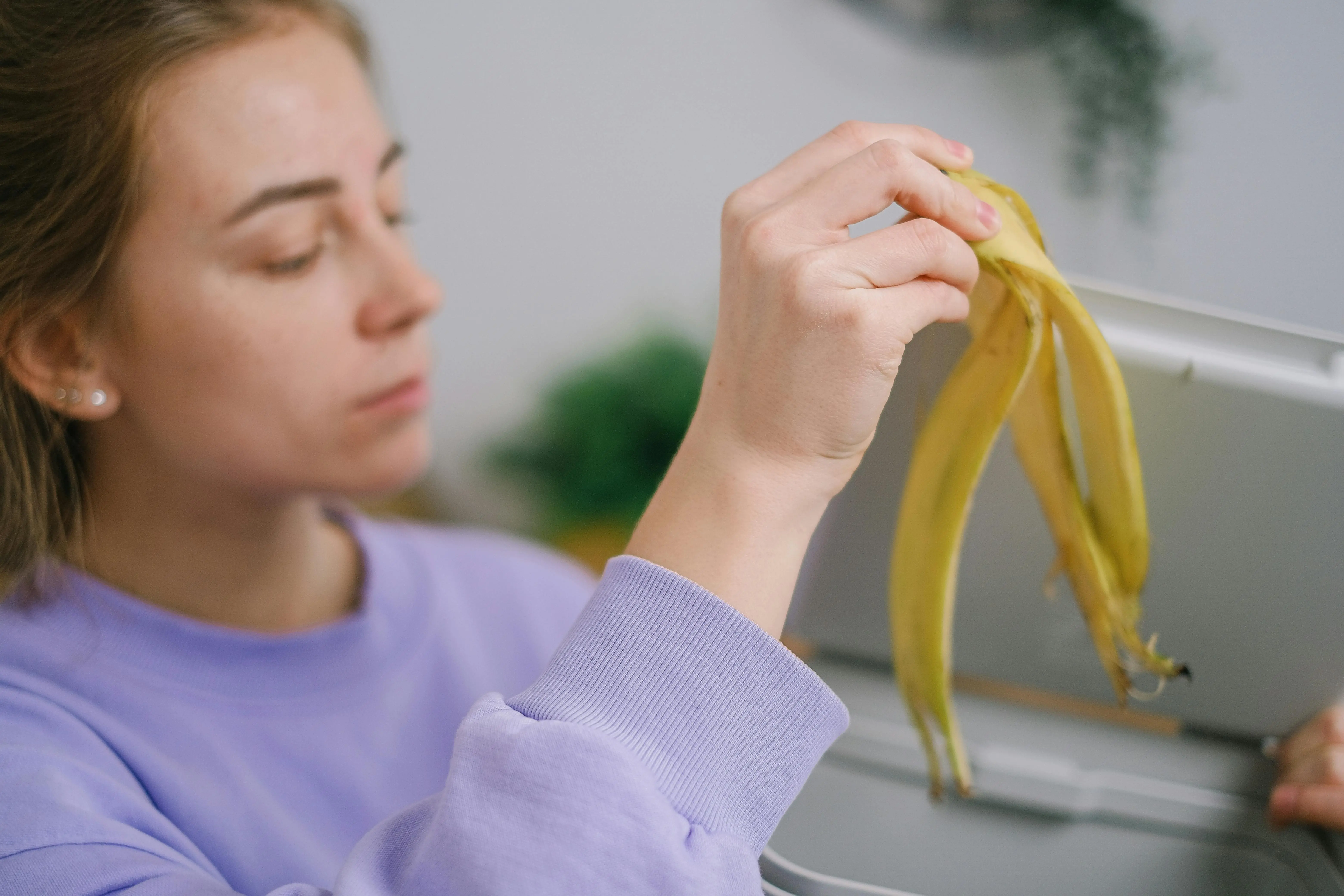Stop Buang Kulit Pisang! Kupas Tuntas Manfaat Kulit Pisang untuk Tanaman