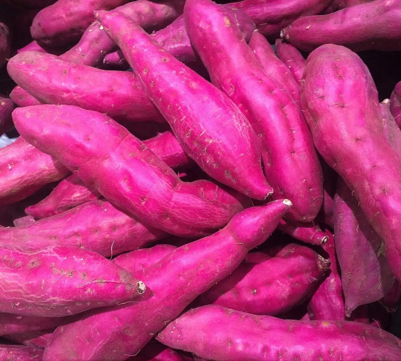 Ubi Ungu dan Sistem Kekebalan Tubuh: Kekuatan Alami dari Warna Cantik
