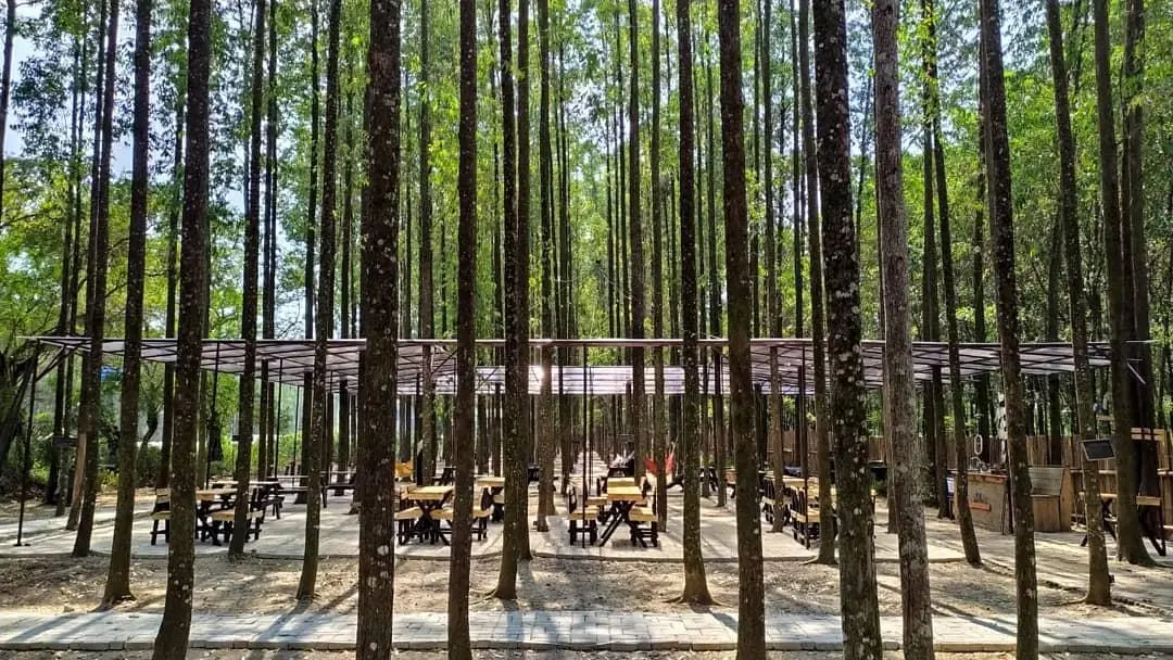 Liburan Hits di Karawang: Hutan Kertas, Saung Bali, Puncak Sempur, dan Curug Bandung