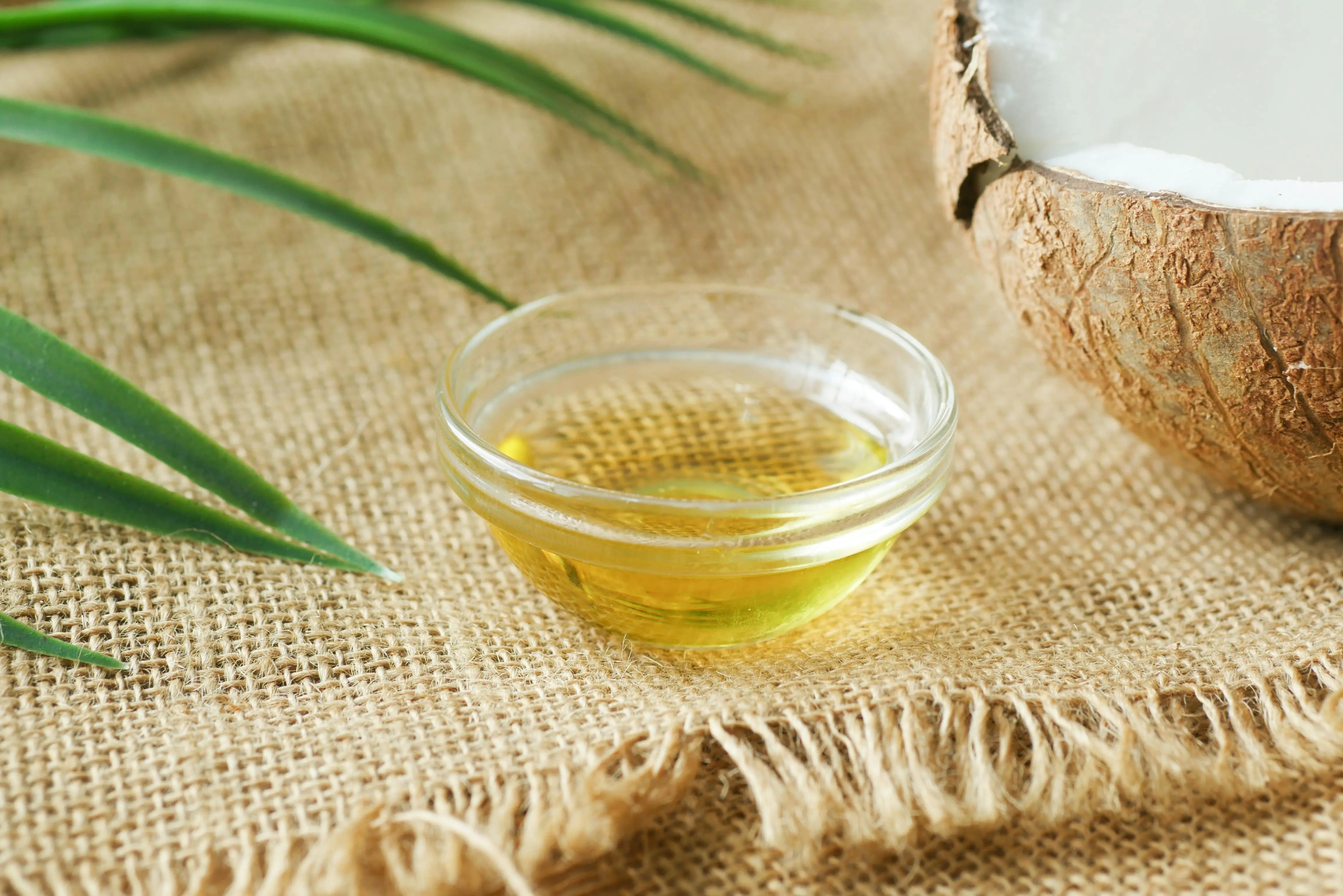 Rahasia Kecantikan Alami di Era Modern: Minyak Kelapa, Pahlawan Skincare Serbaguna