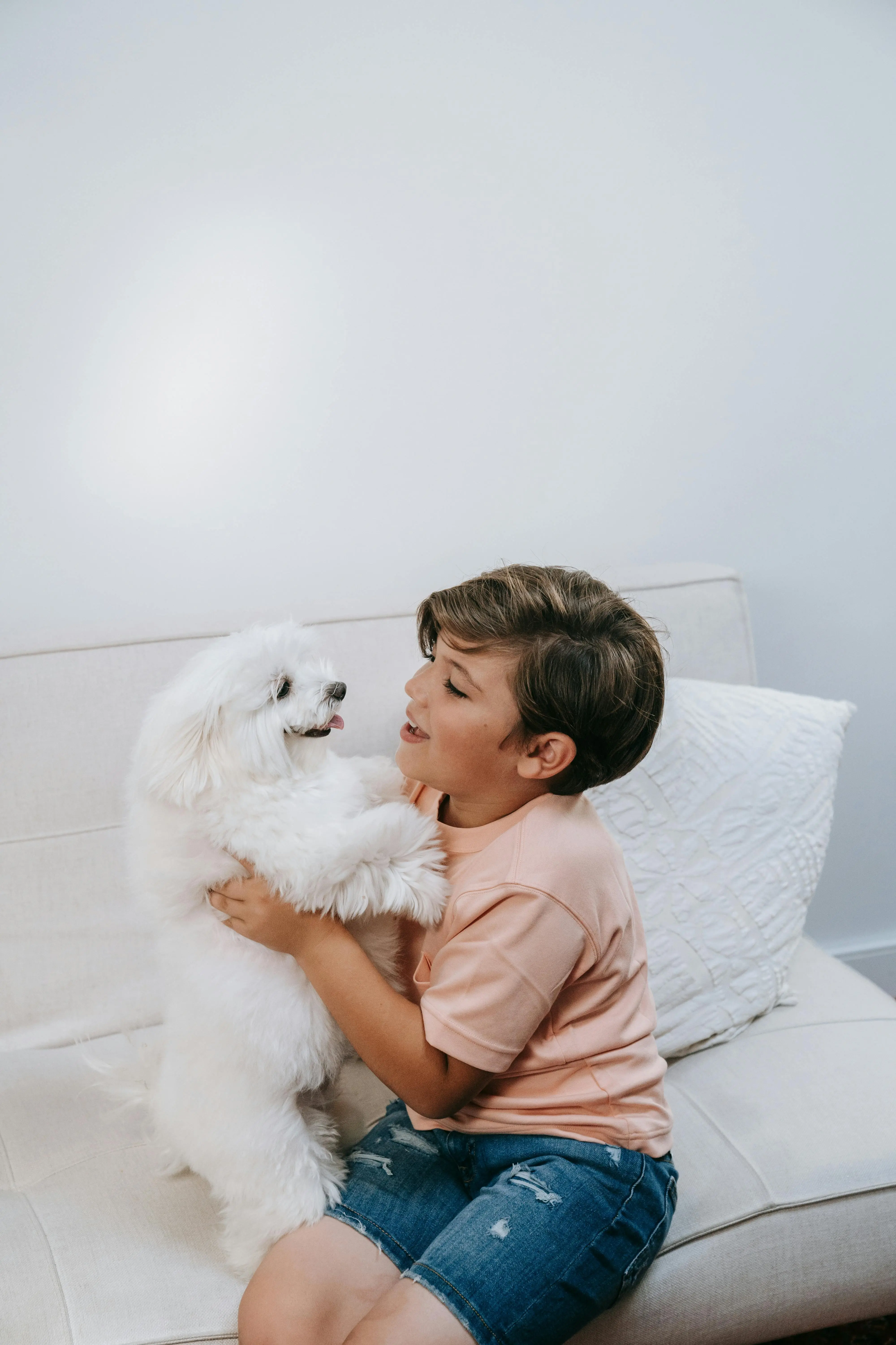 Pendamping Terbaik Si Kecil: Menguak Ras Anjing Paling Ramah Anak dan Tips Memilihnya
