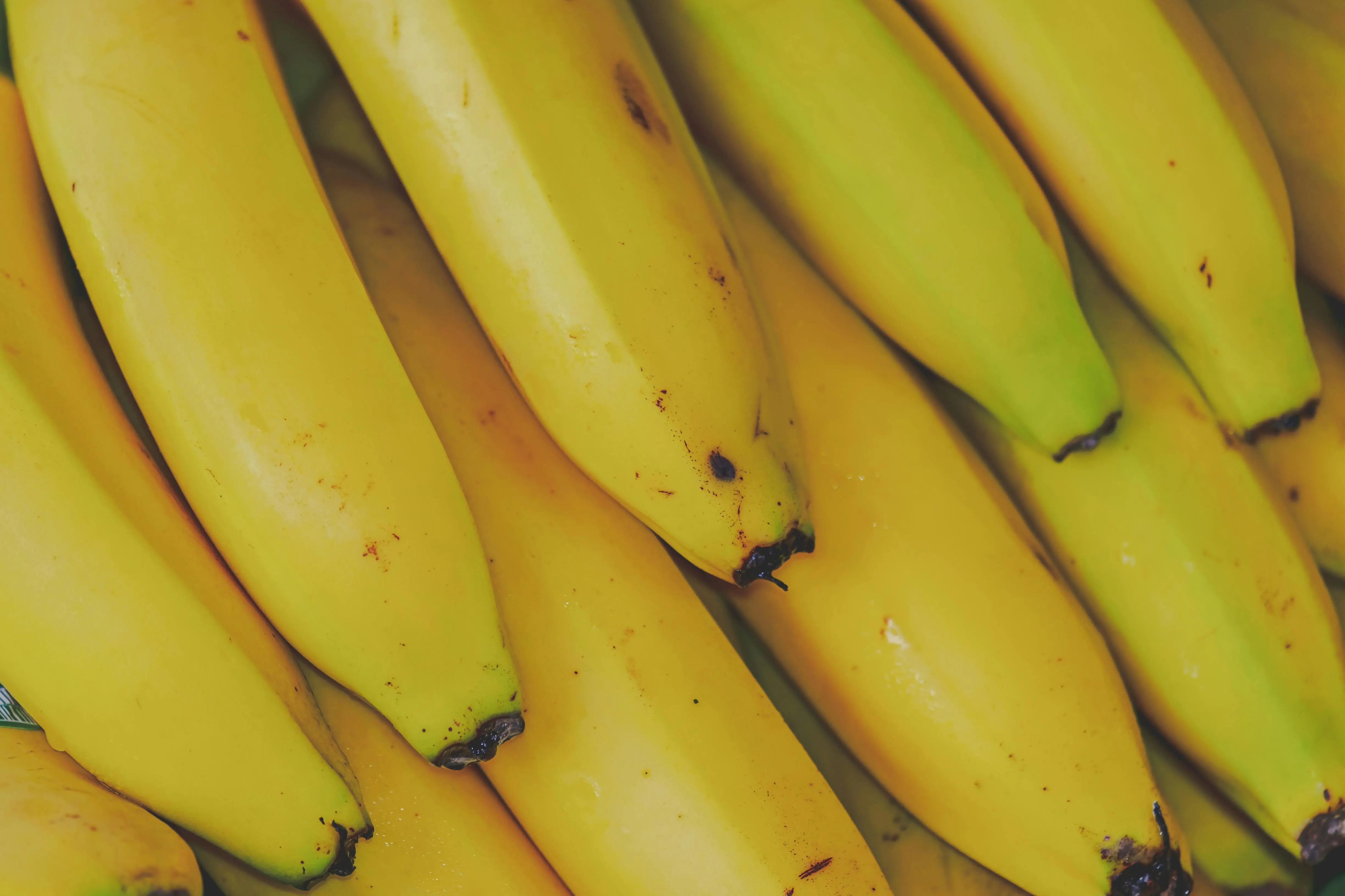 Kebutuhan Harian Vitamin B6 Terpenuhi: Mengapa Pisang Menjadi Sumber Terbaik untuk Kesehatan Otak