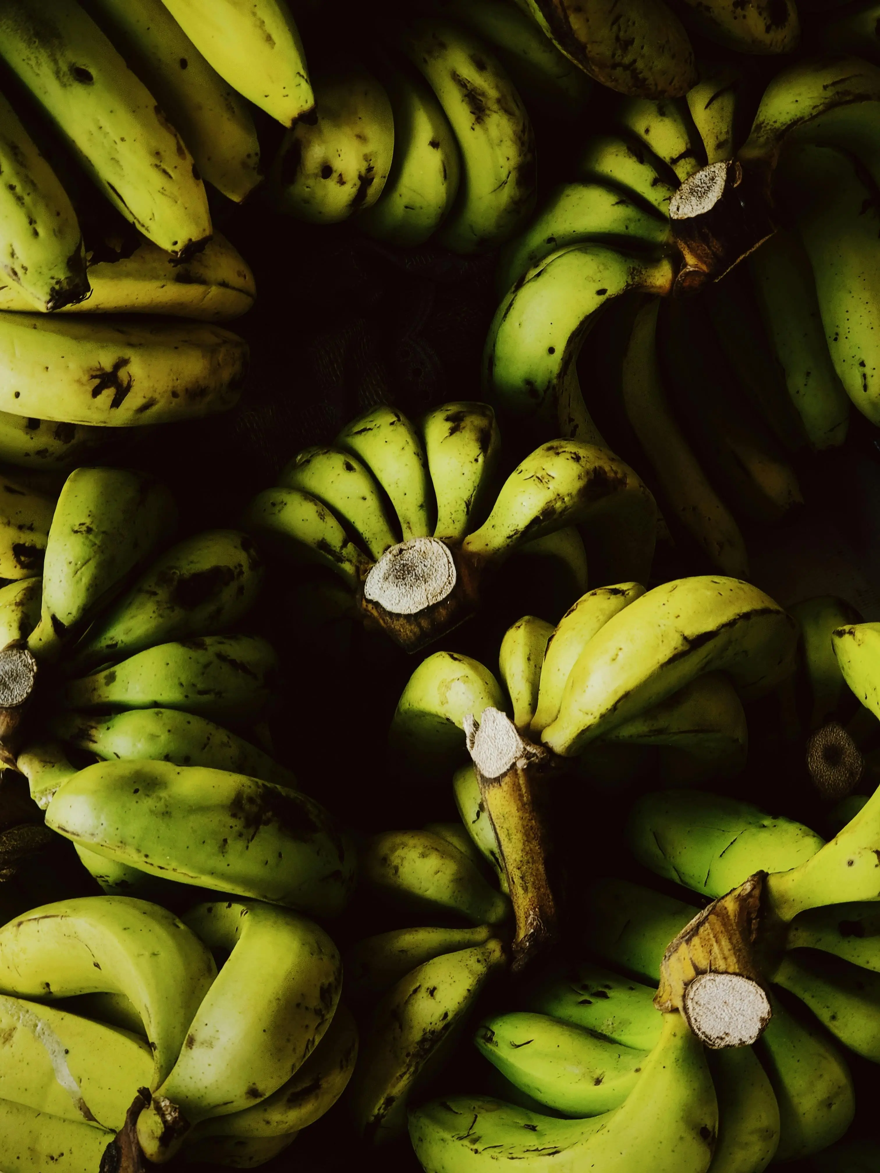Lebih dari Sekadar Buah: Menguak Fakta Pisang sebagai Simbol Budaya dan Keramahan Global