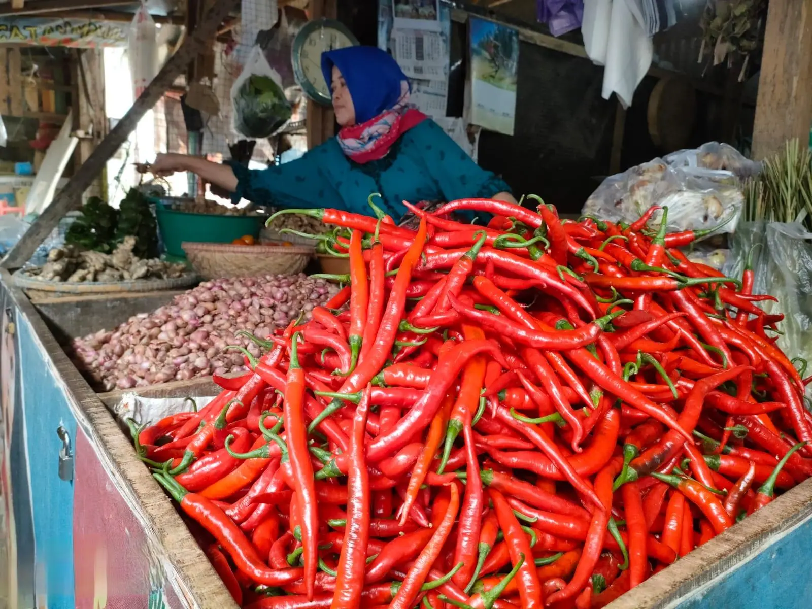 PIHPS Nasional Catat Harga Cabai: Merah Besar, Merah Keriting, dan Rawit Hijau