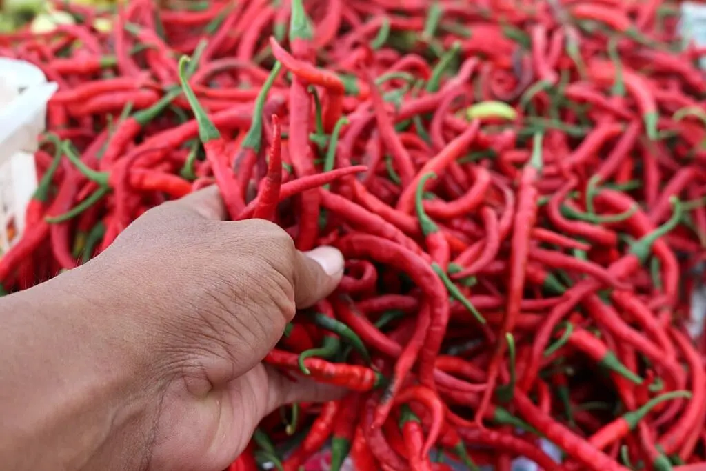 Update Harga Pangan Nasional: Cabai Rawit Rp41.950, Telur Ayam Rp31.500 per Kg