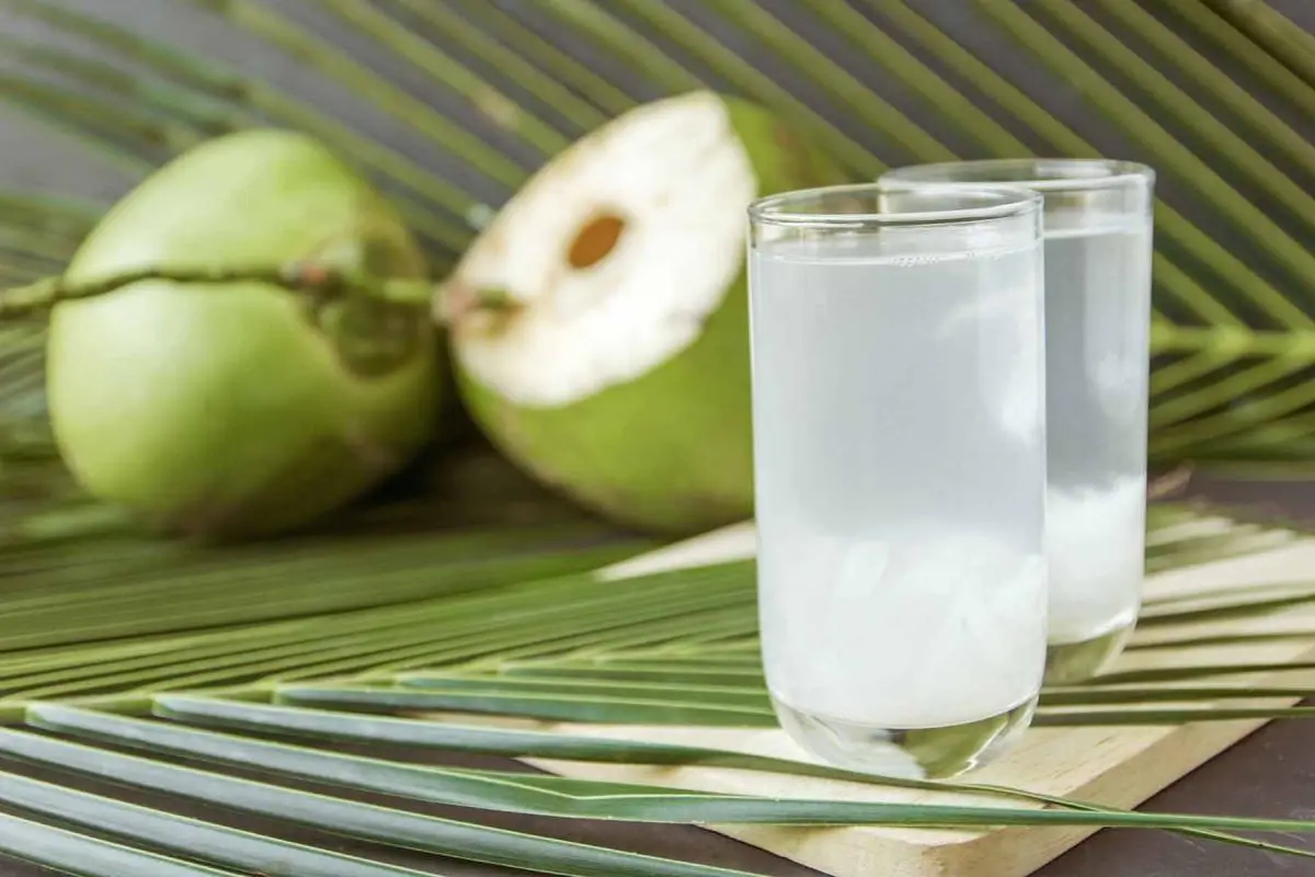 Benarkah Kelapa Hijau Bisa Dijadikan Obat? Ini Penjelasan Ahli Kesehatan