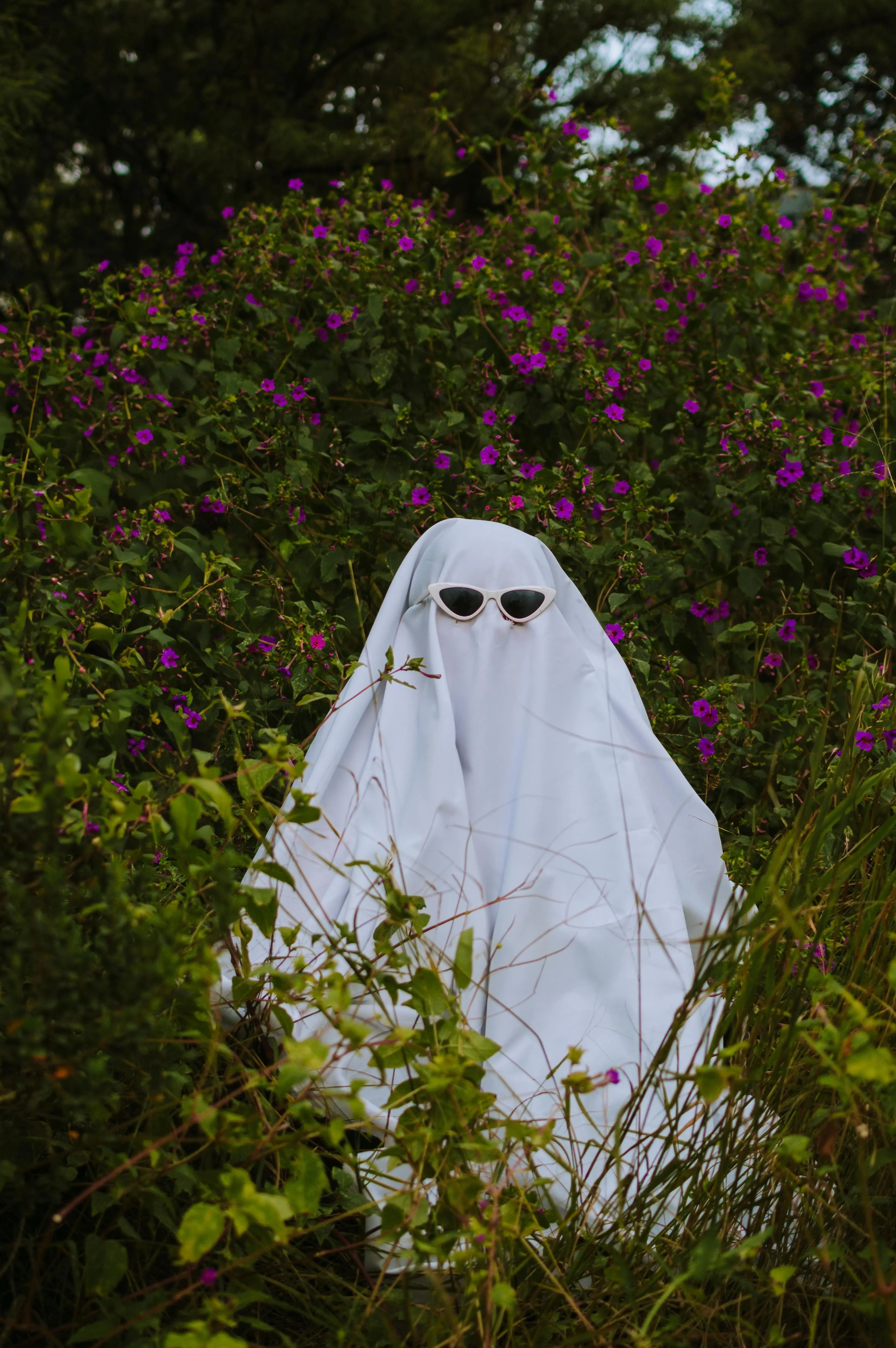 Mengapa Hantu Tetap Hidup di Era Digital? Misteri Kehadiran Arwah dalam Budaya Modern