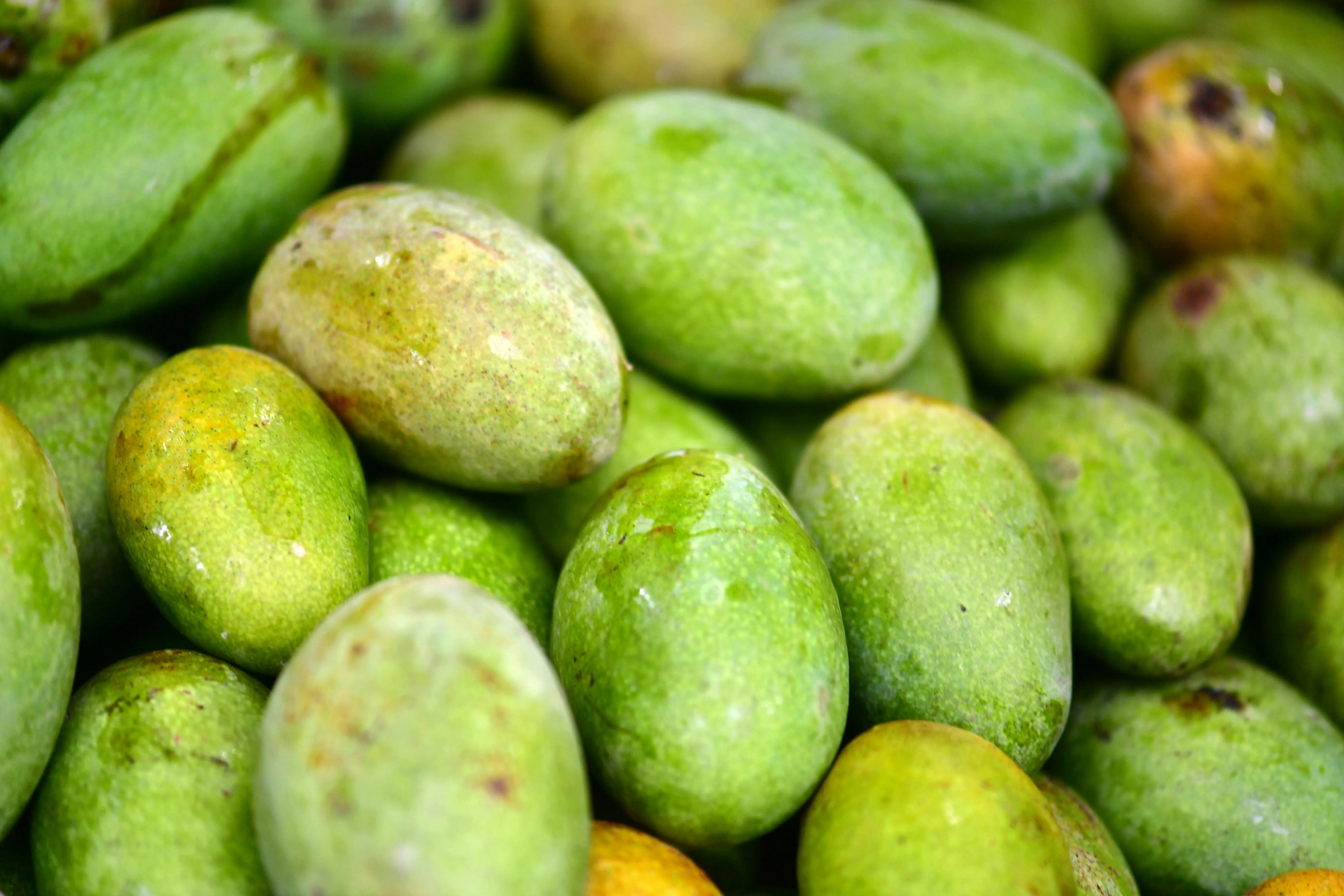 Mengapa Mangga Adalah Sumber Energi Cepat Terbaik untuk Pemulihan Pasca Lari?