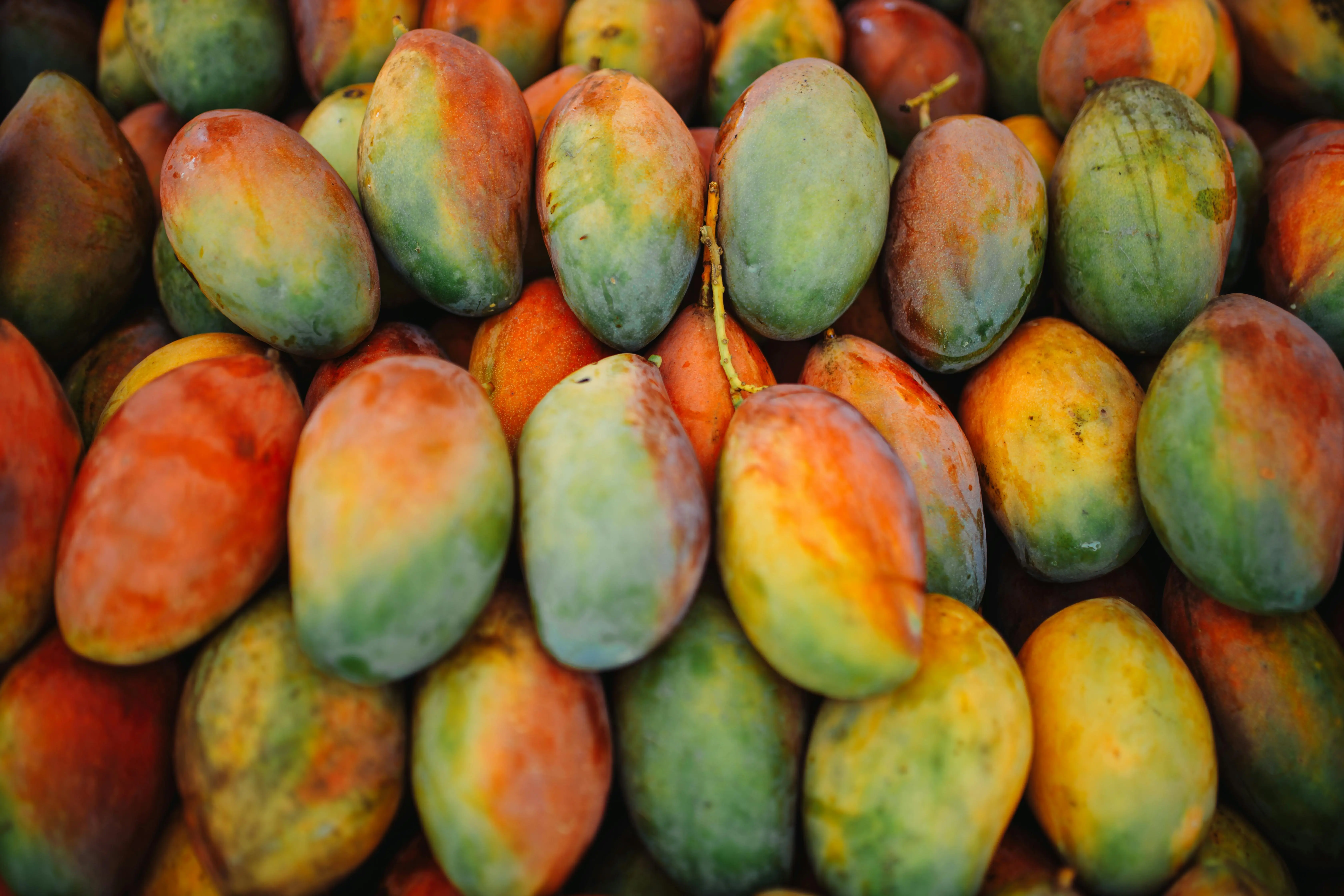 Mangga Bukan Sekadar Buah Tropis: Rahasia Pemanis Alami Rendah Glukosa untuk Kesehatan
