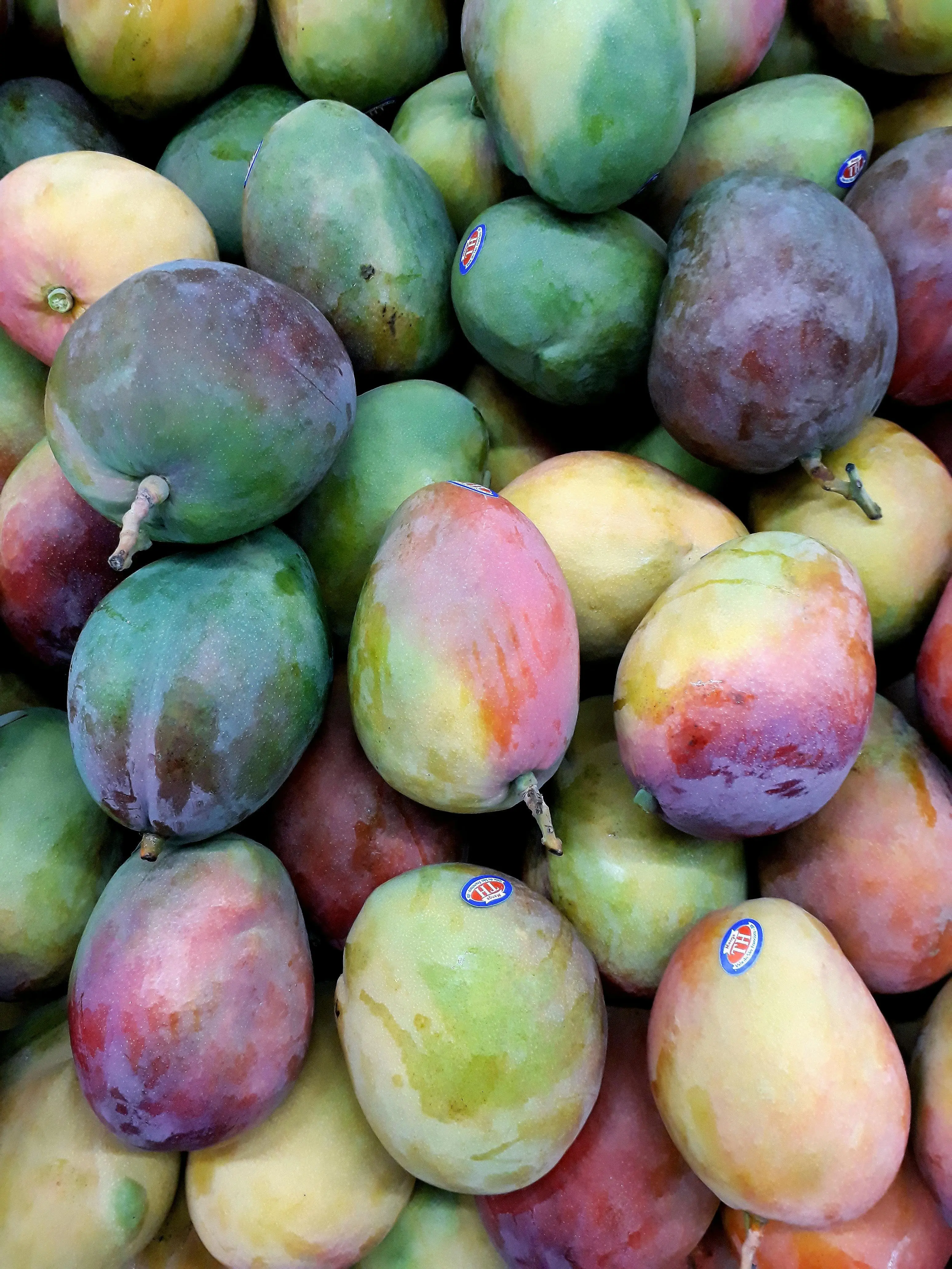 Bukan Sekadar Manis: Menguak Keterkaitan Warna Kulit dan Aroma Khas Mangga